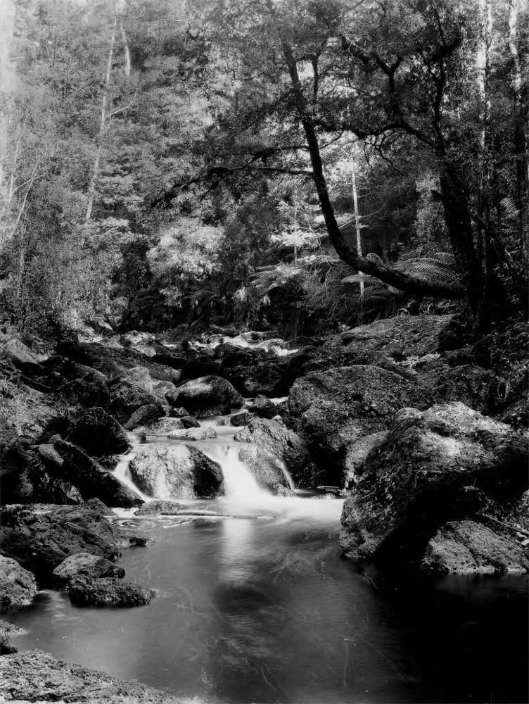 Bott Gorge