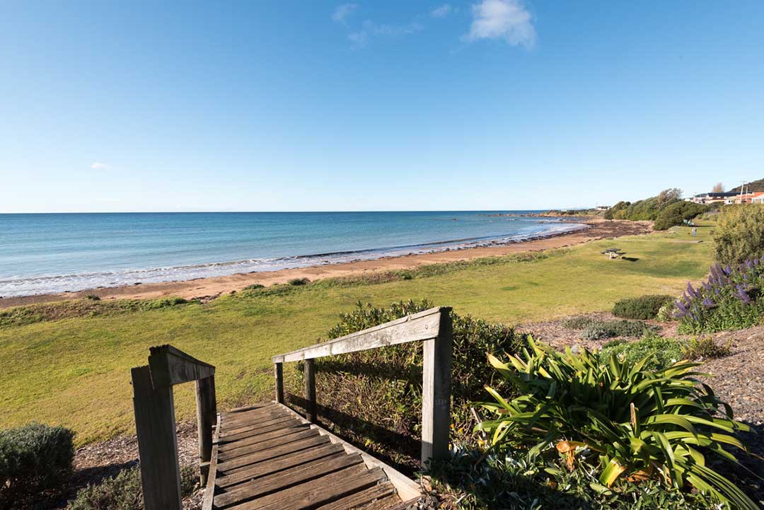 Watcombe Beach, Pengui