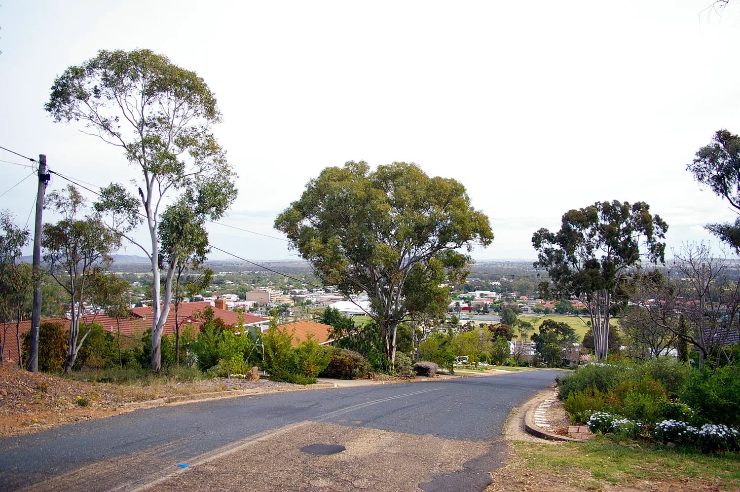 Tree-lined street at Beauty Point