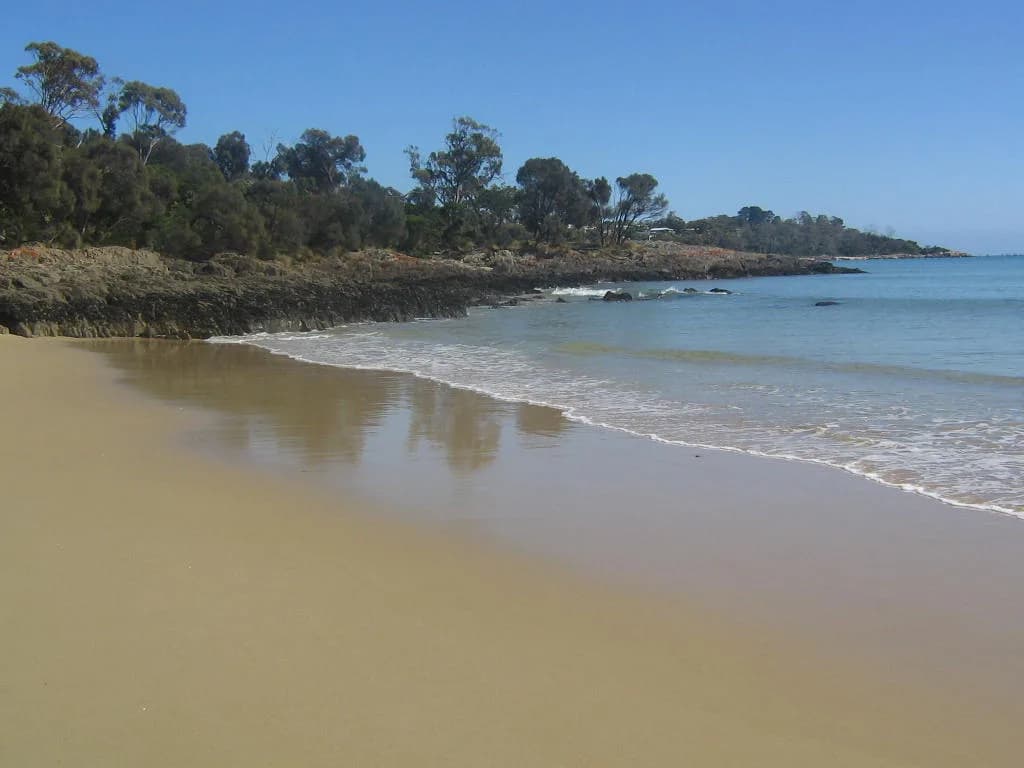 Bridport shoreline and Anderson Bay