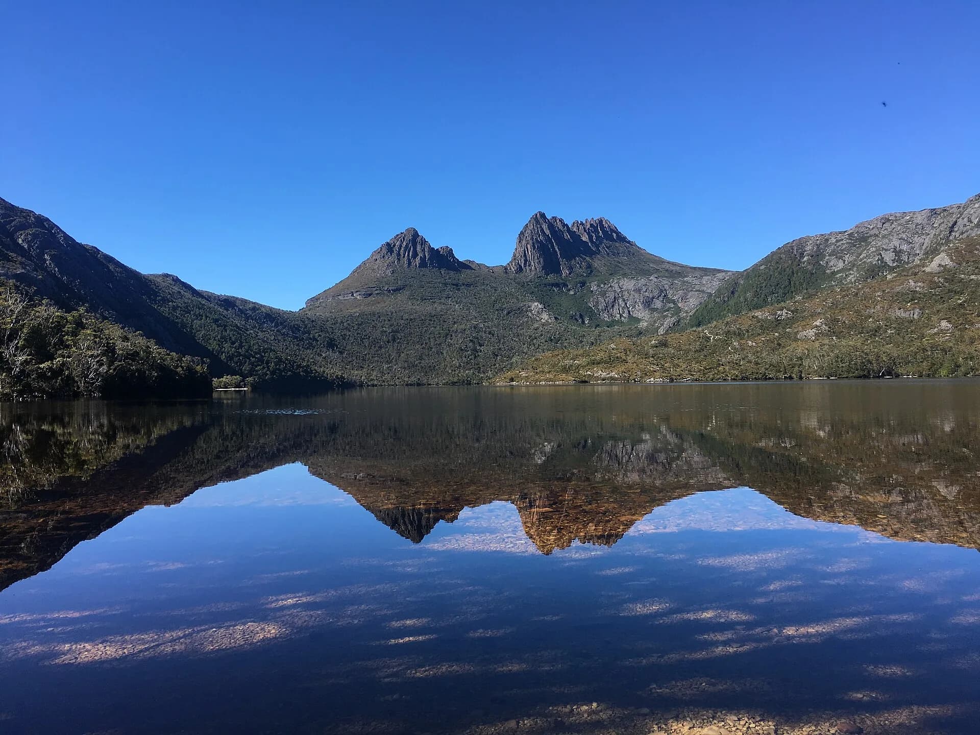 Cradle Mountain rising beyond Dove Lake