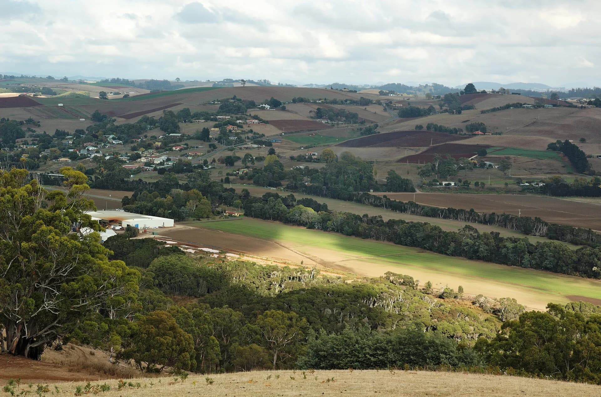 Rolling farmland in the Forth Valley hinterland