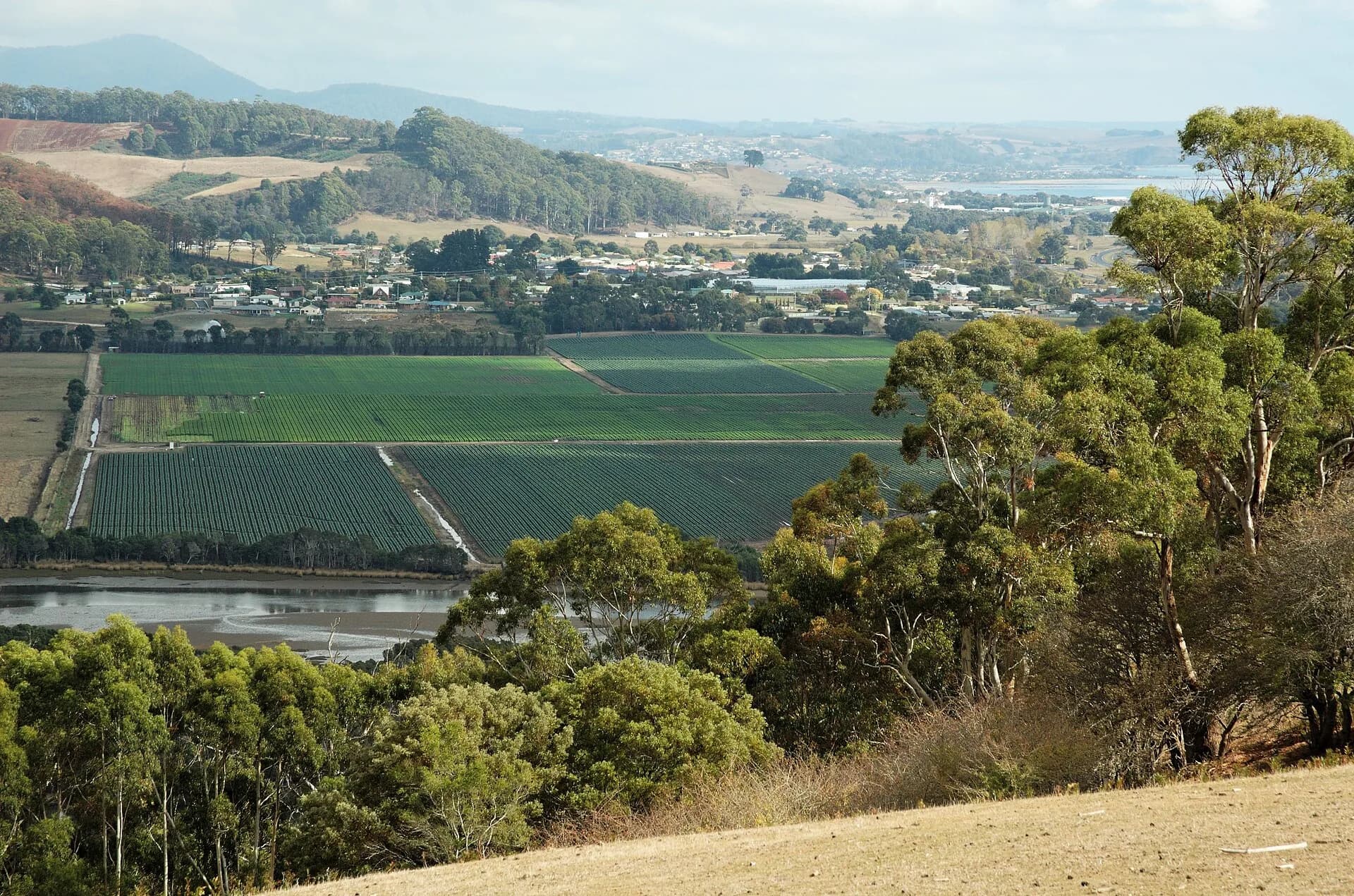 Green farmland in the Forth Valley on Tasmania’s Central Coast