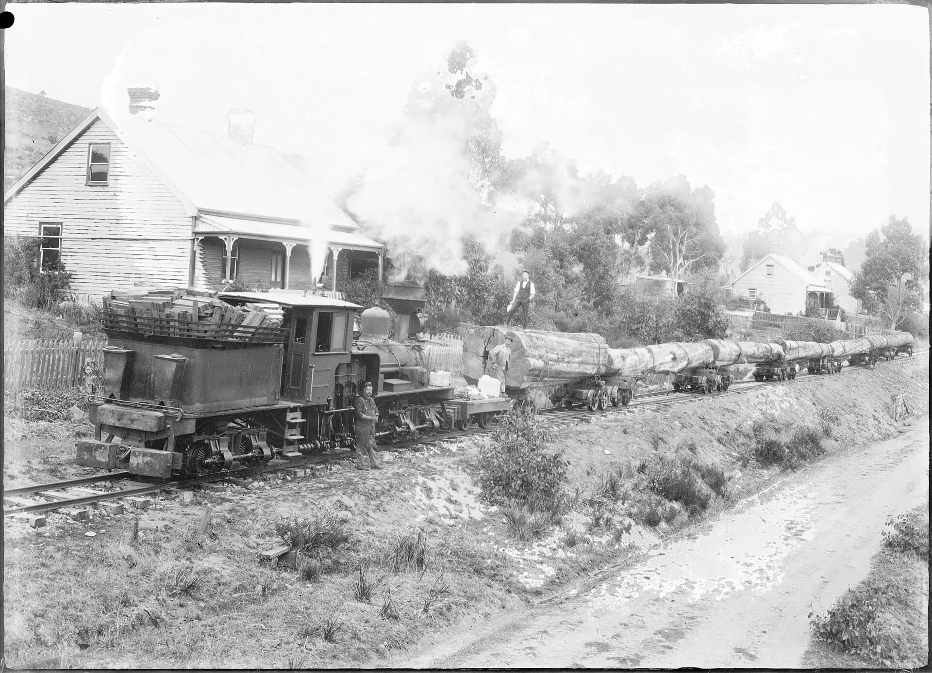 Historic train hauling logs near Geeveston