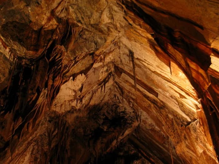 Calcite formations across the ceiling of Gunns Plains Cave