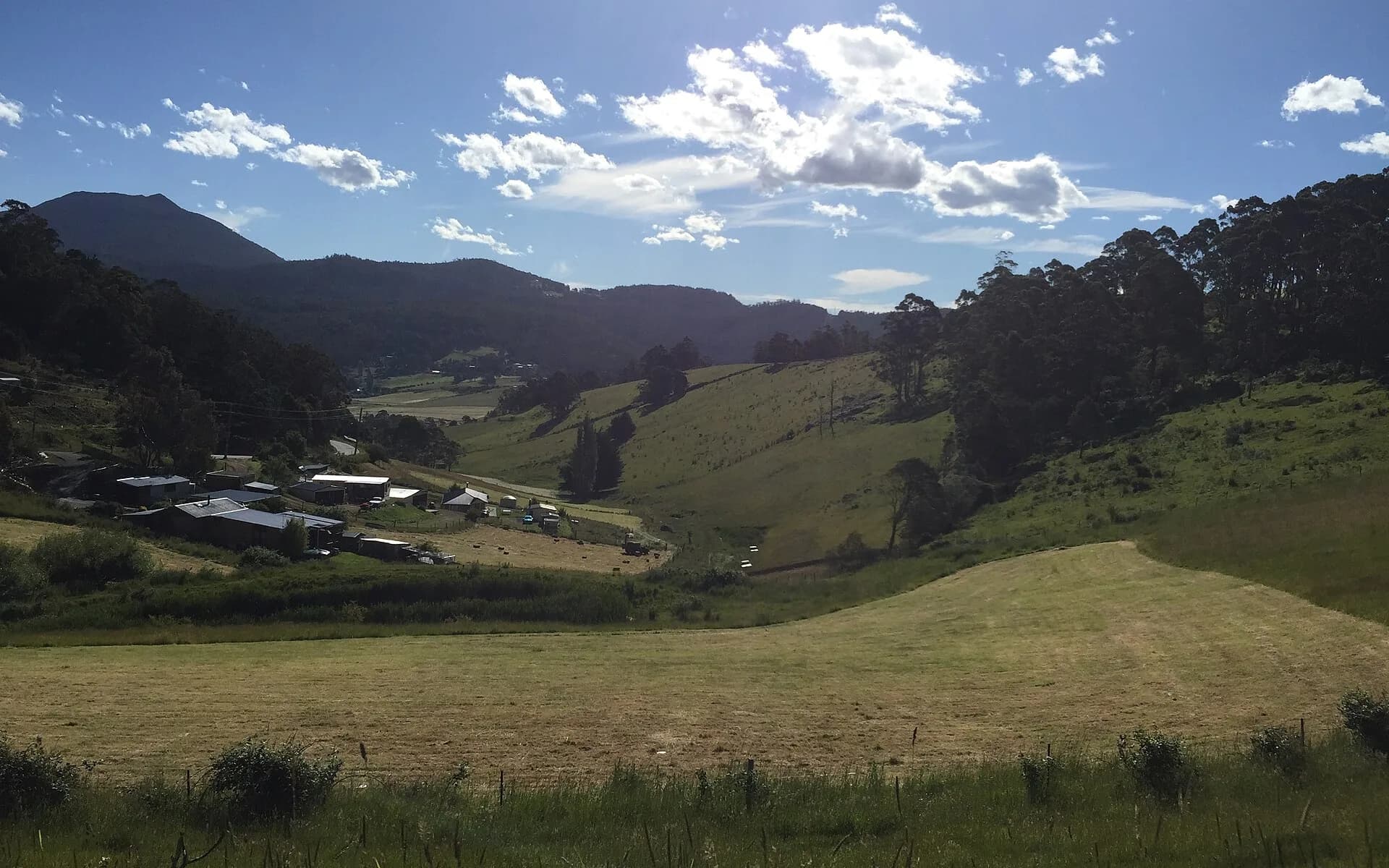 Rural road and forested hills at nearby Collinsvale