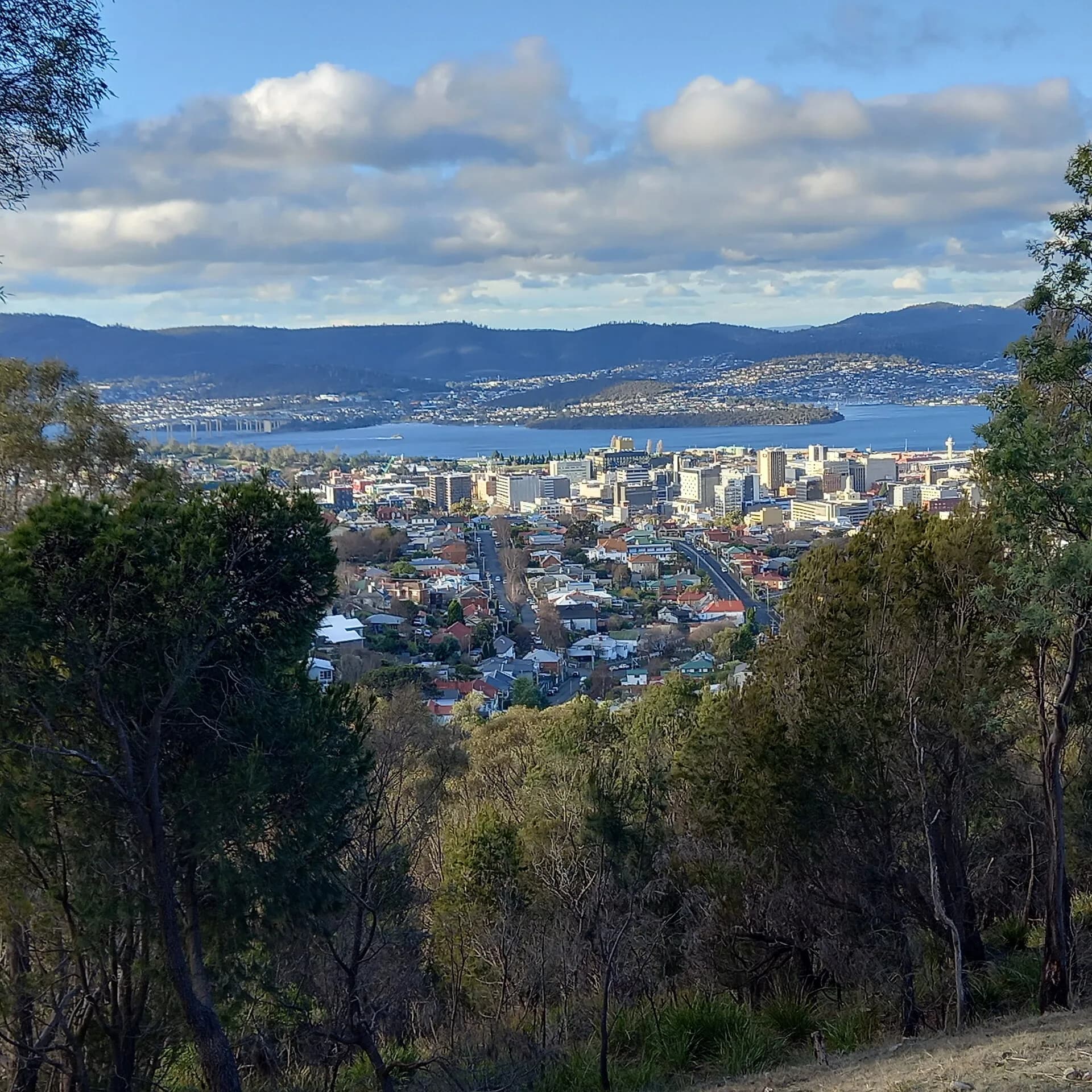 View over central Hobart from Knocklofty Reserve