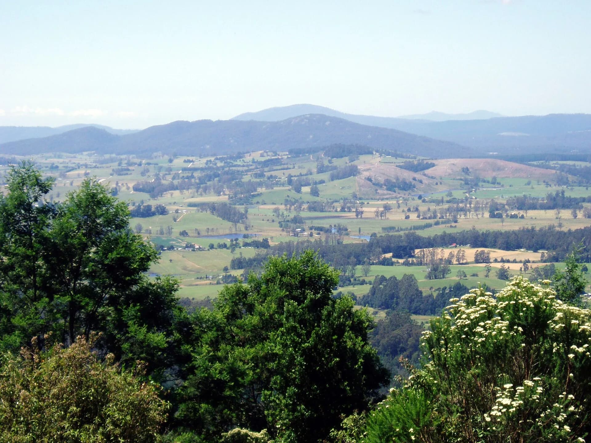 Green rolling farmland in north-east Tasmania