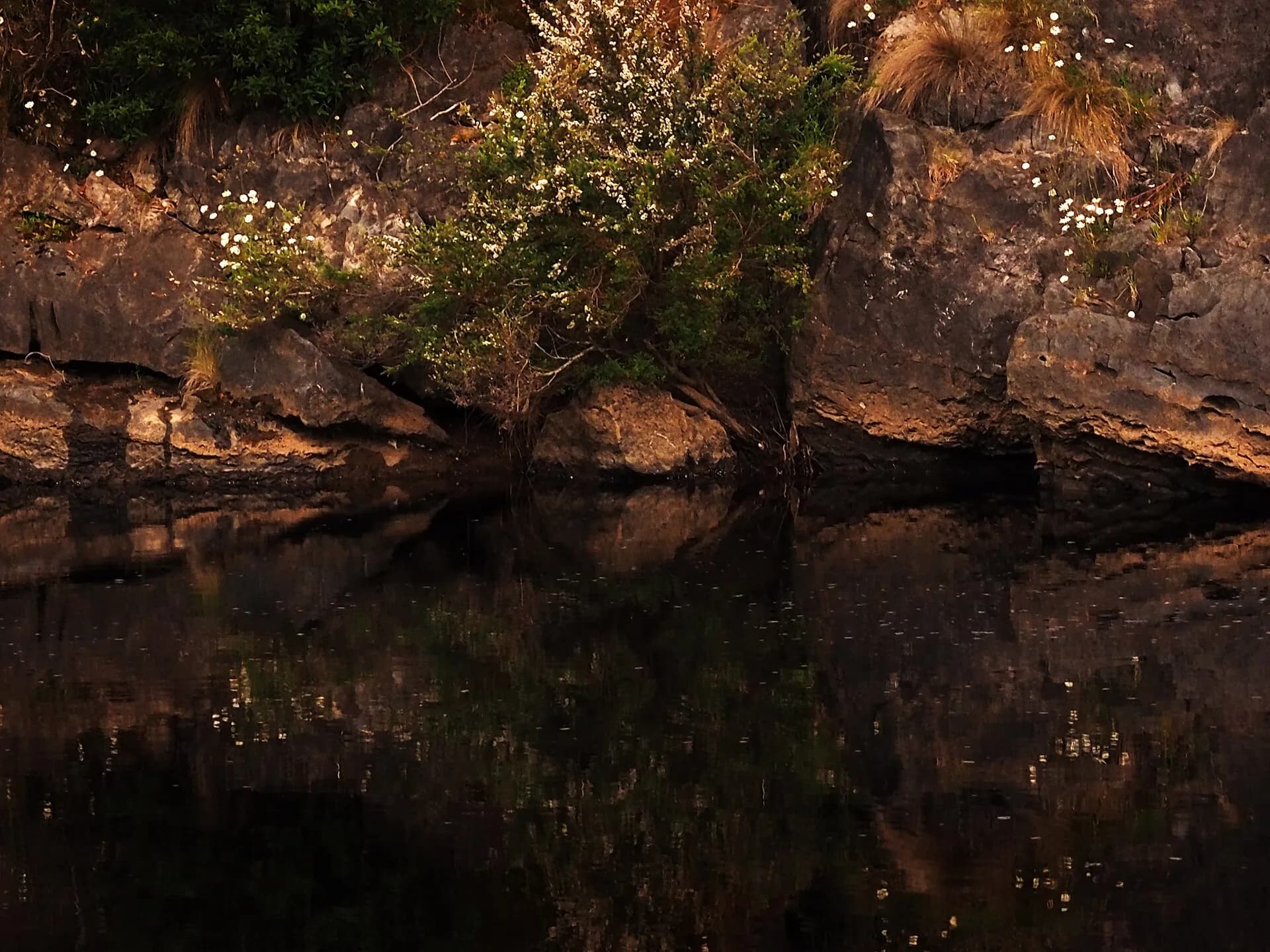 Steep forested river valley in the Central Coast hinterland