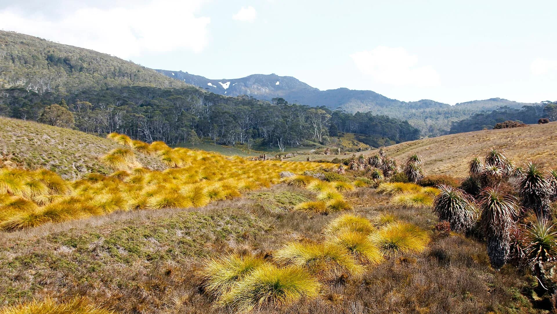 Alpine landscape along Tasmania’s Overland Track