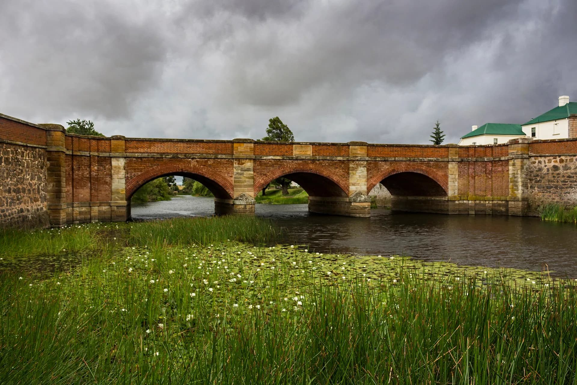 Open water and dry Midlands grassland
