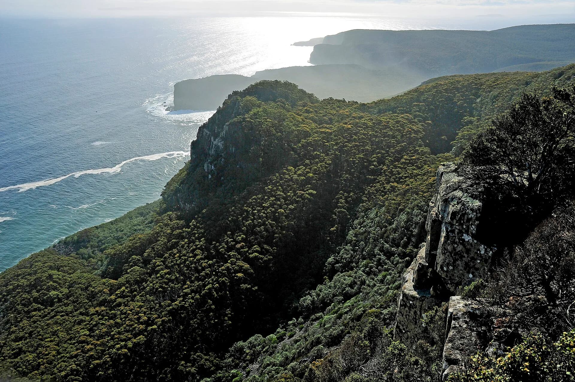 Large Southern Ocean swell approaching the cliffs at Shipstern Bluff
