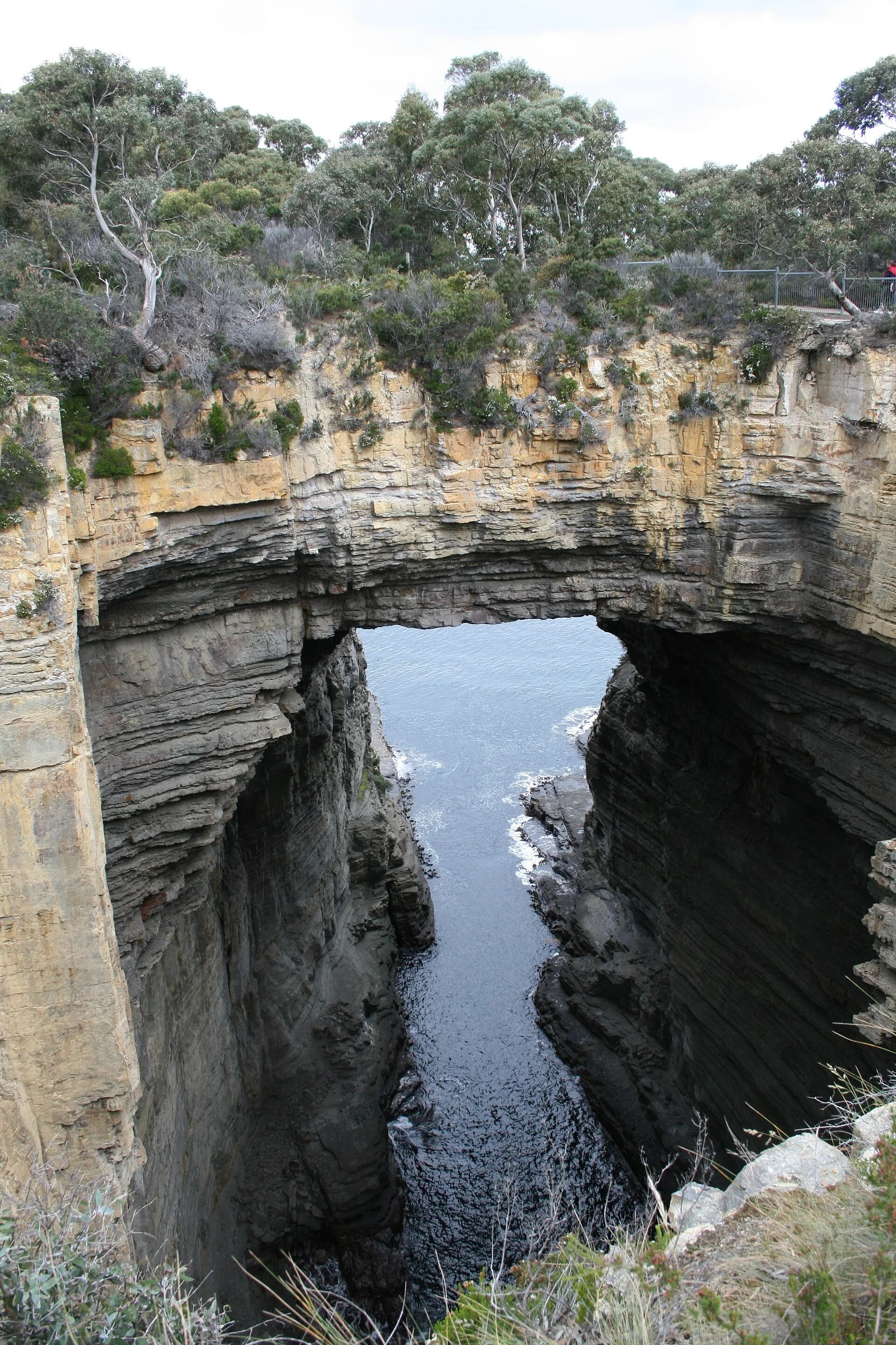 High dolerite sea cliffs on the Tasman Peninsula