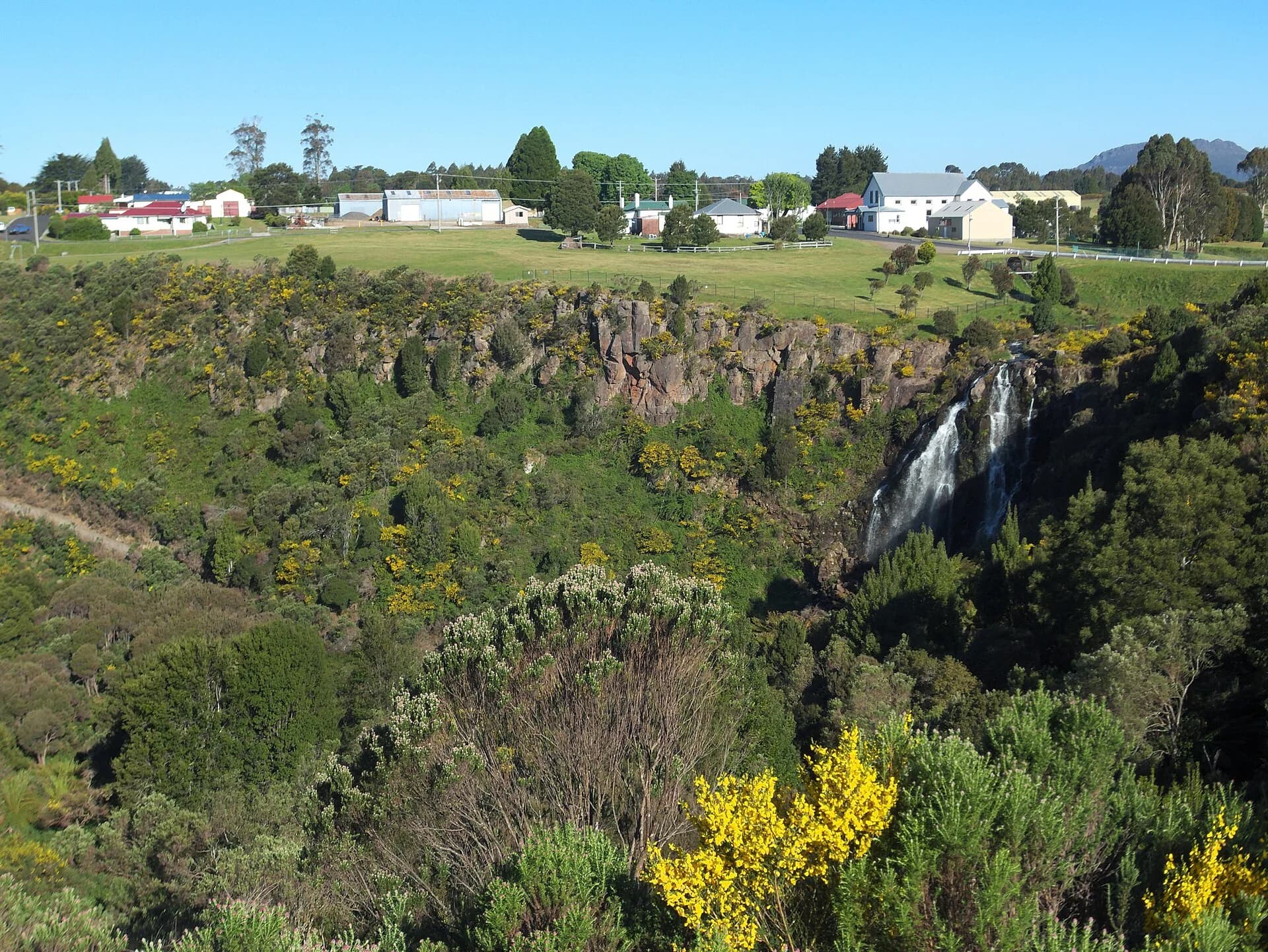 Waratah and its waterfall in a forested valley