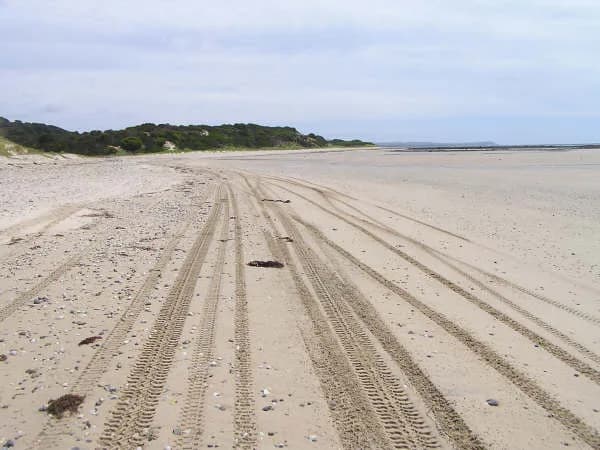 Sandy vehicle tracks near the Pipers River coast