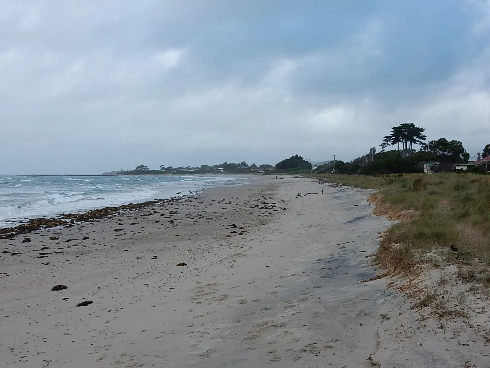 Wynyard beach with low surf and coastal grass