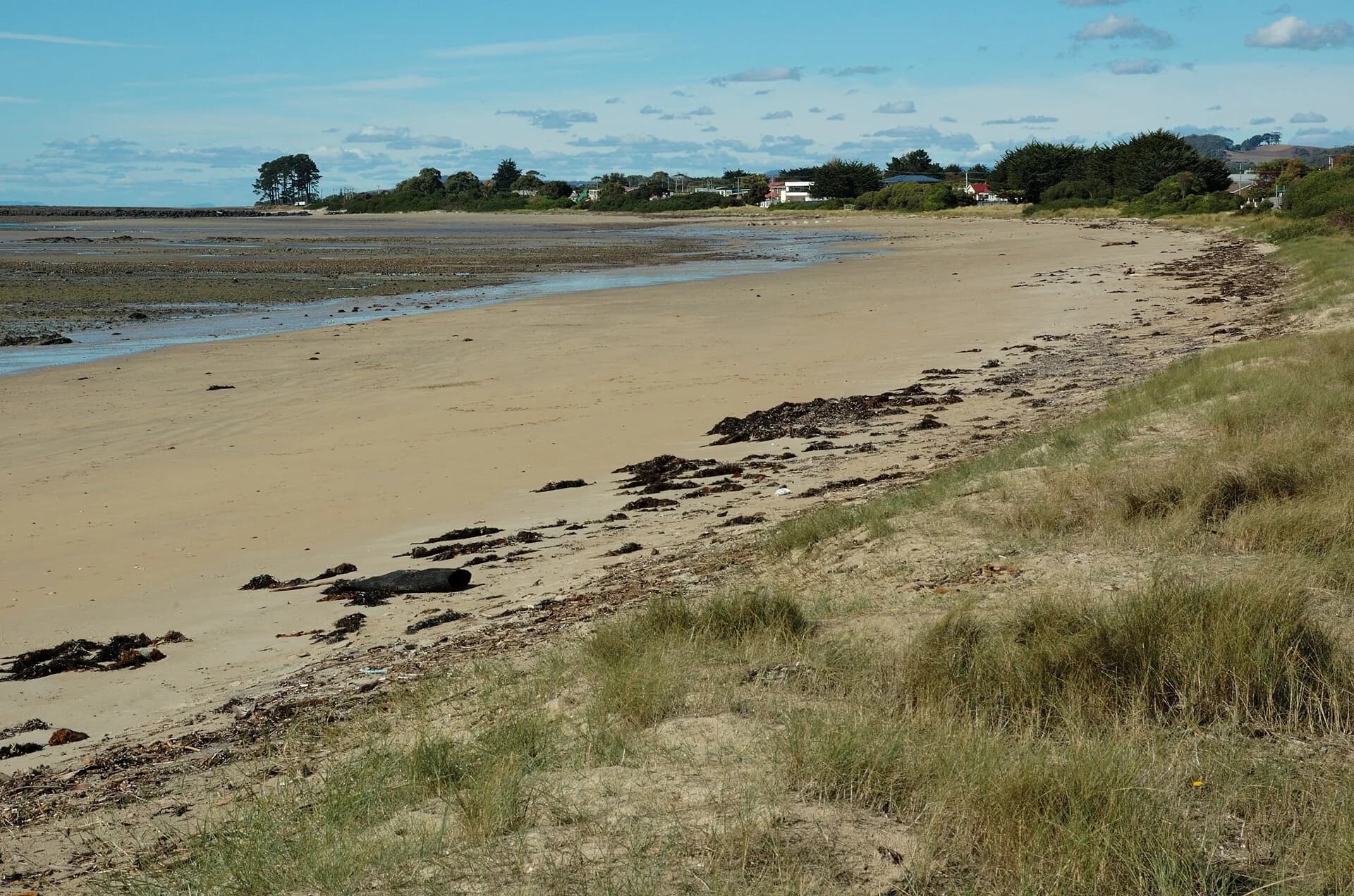 Rocky Bass Strait shore east of Wynyard