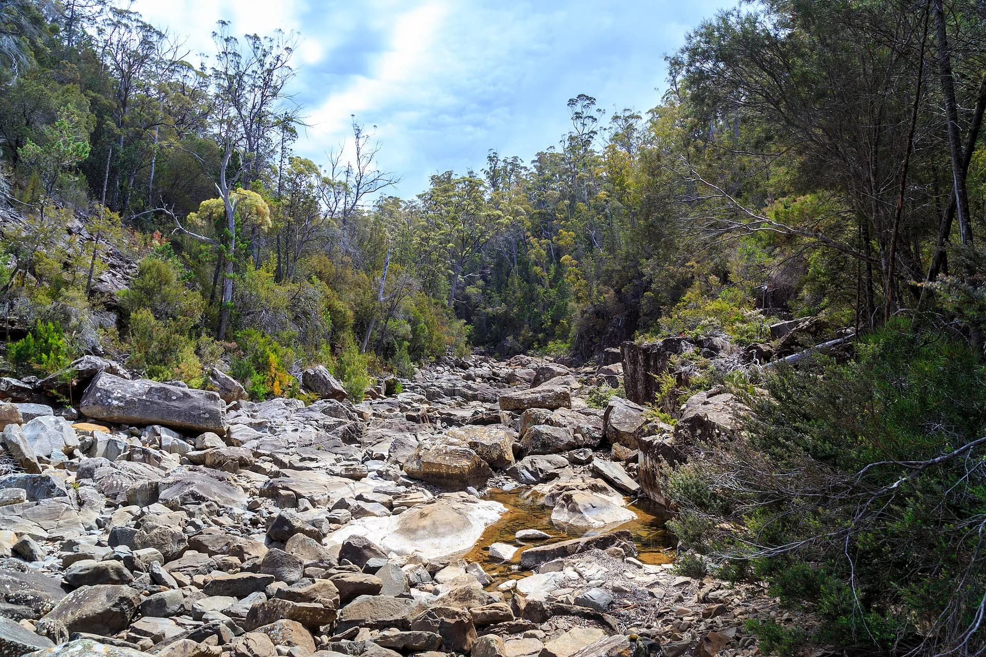 Rock walls and water in Apsley Gorge