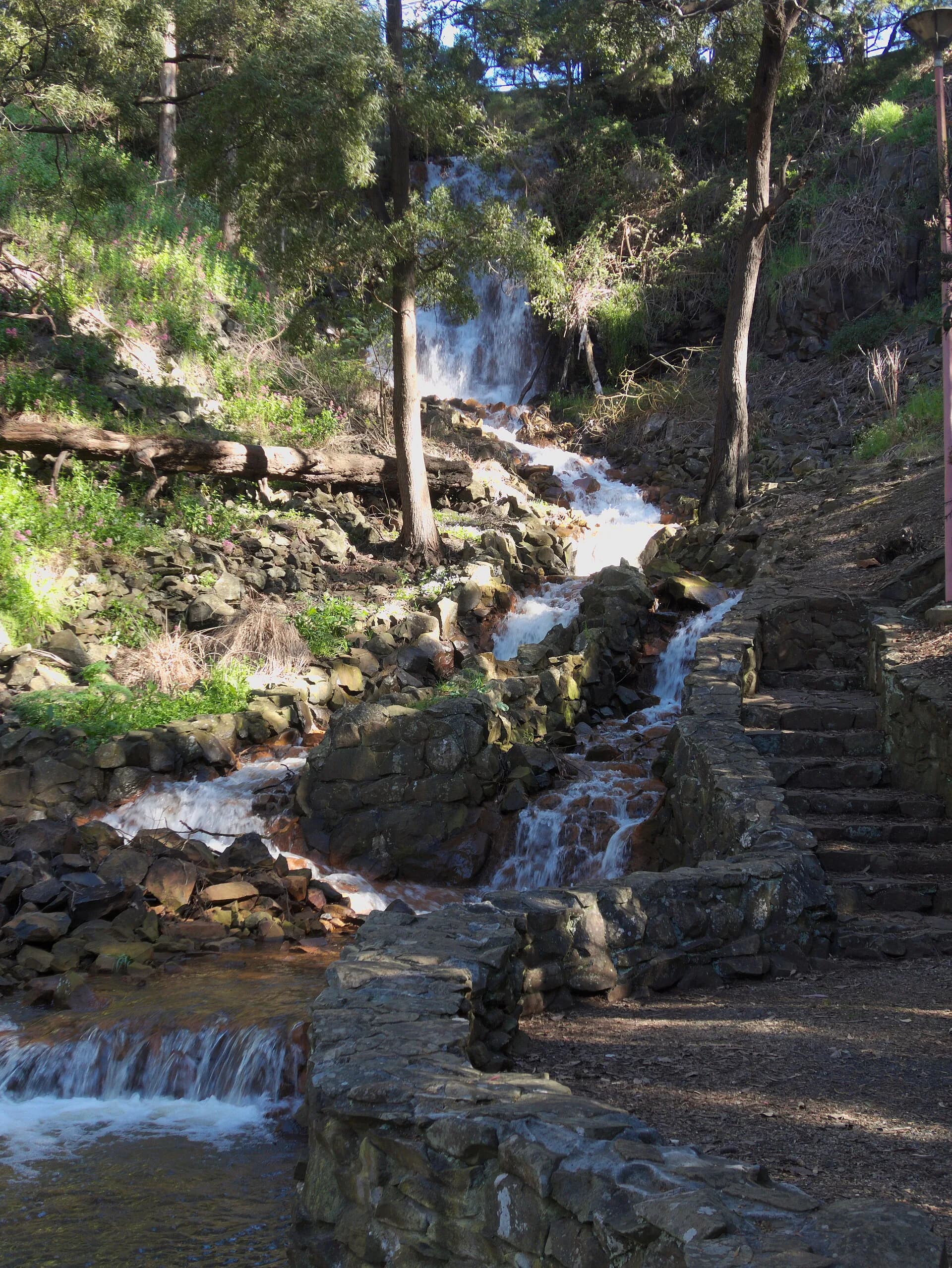 Oldaker Falls in Burnie Park