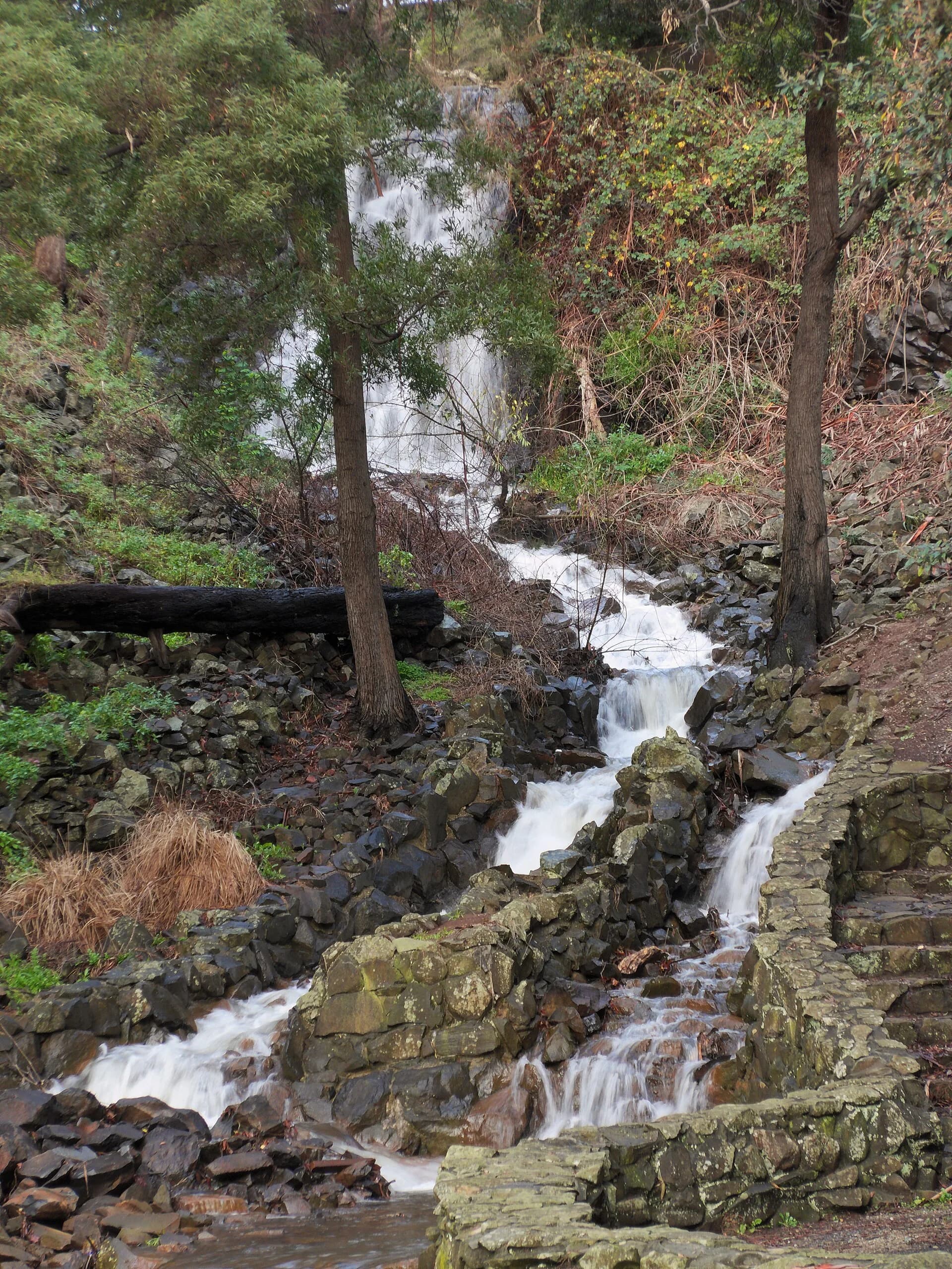Water flowing over rock in the Burnie district