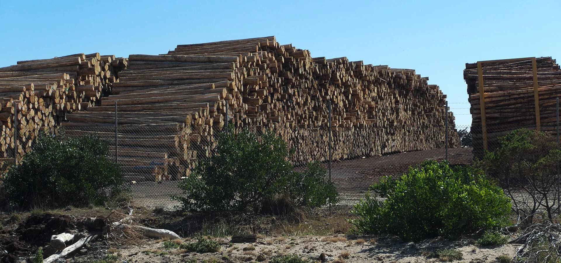 Log stacks and loading equipment at the Port of Burnie