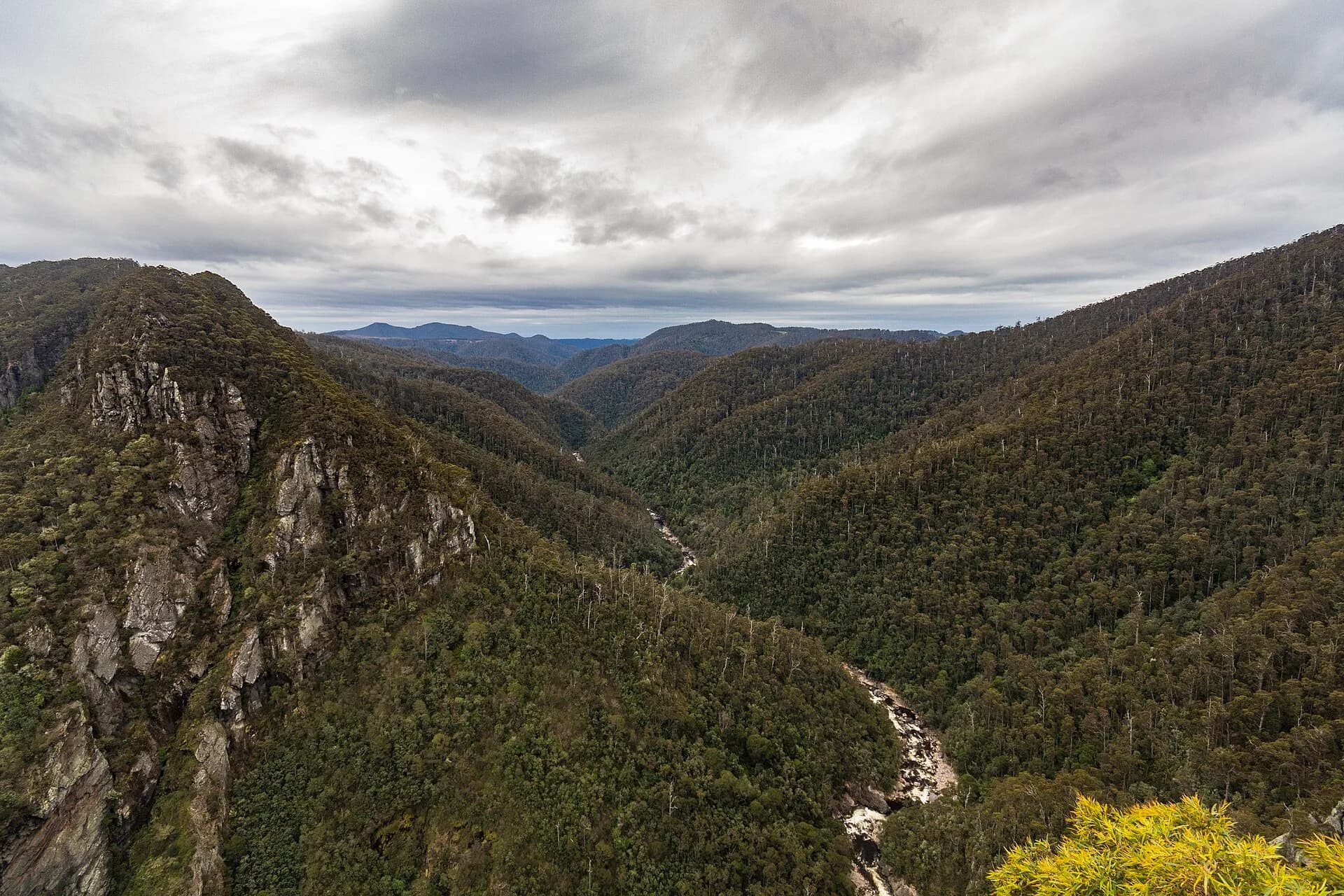 Lookout platform above Leven Canyon