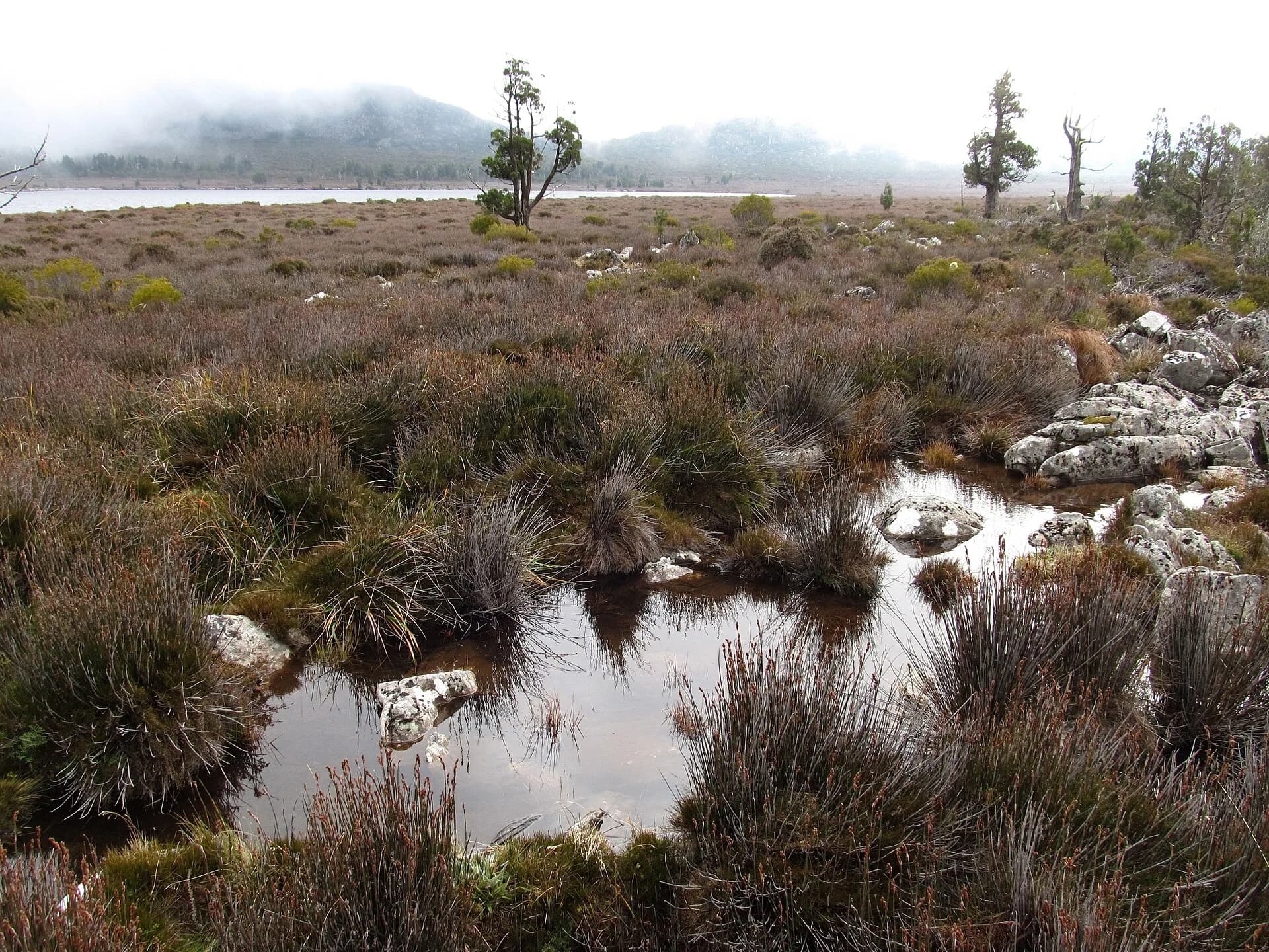 Pine Lagoon in the Central Plateau Conservation Area