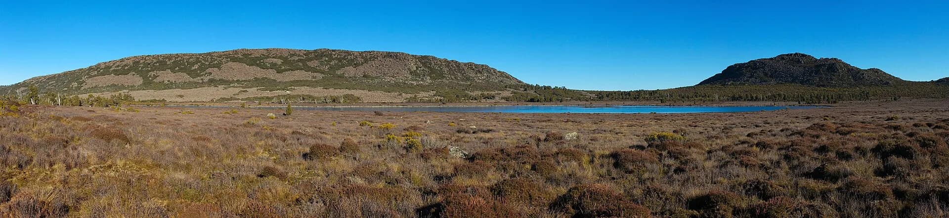 Exposed highland landscape in central Tasmania