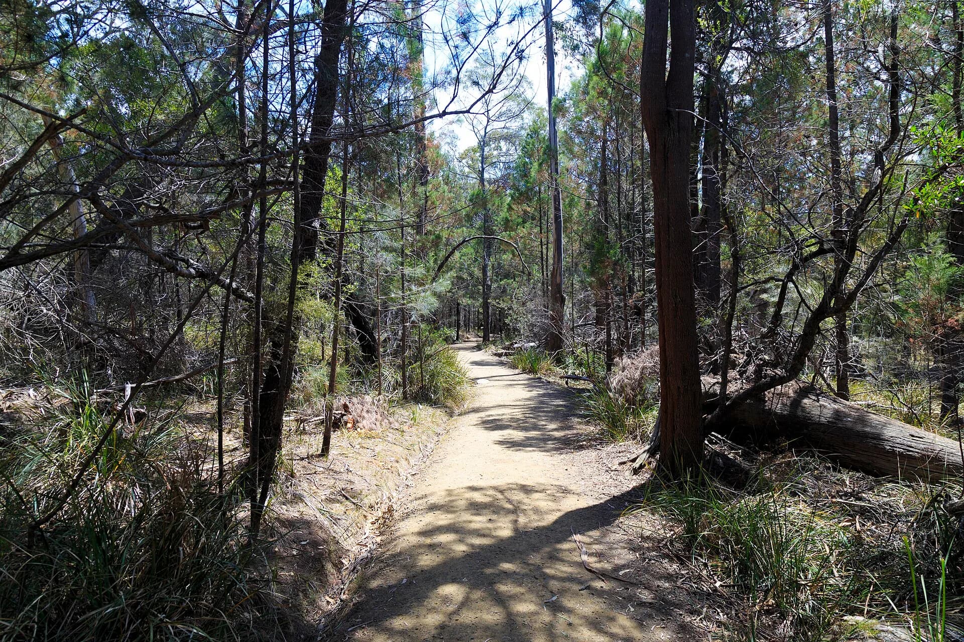 Rocky walking track through Douglas-Apsley National Park