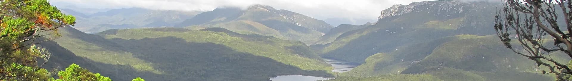 Remote river and forest in western Tasmania