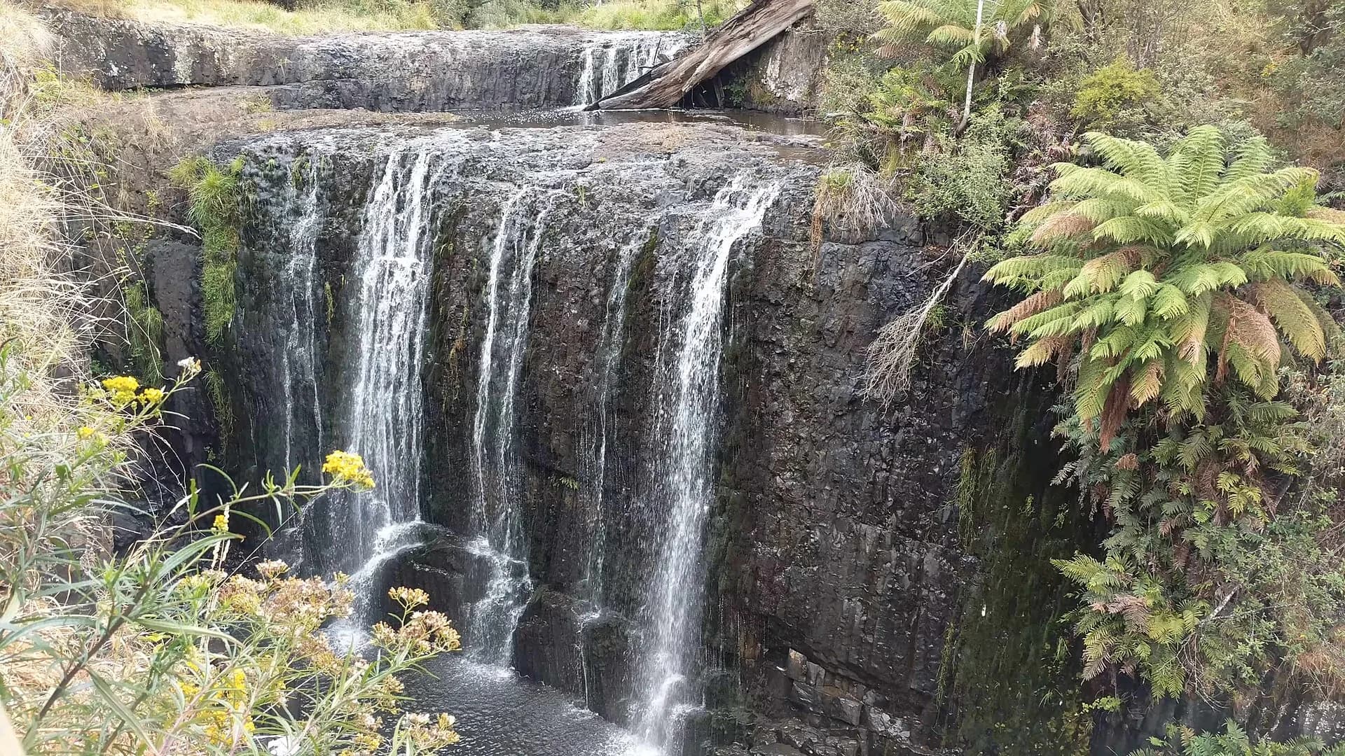 Guide Falls near Ridgley