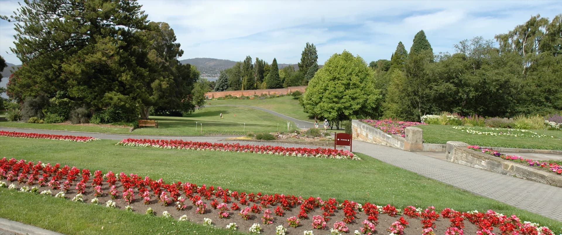 Mature trees and paths in the Royal Tasmanian Botanical Gardens
