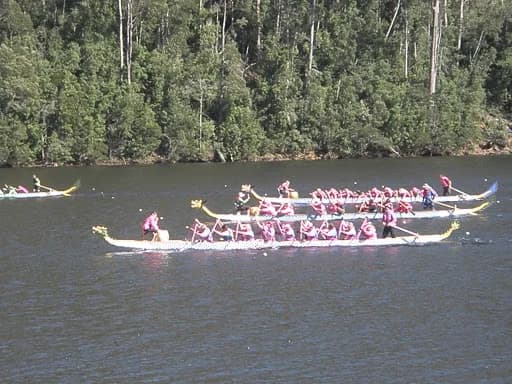 Rowing on Lake Barrington in the Mersey–Forth scheme