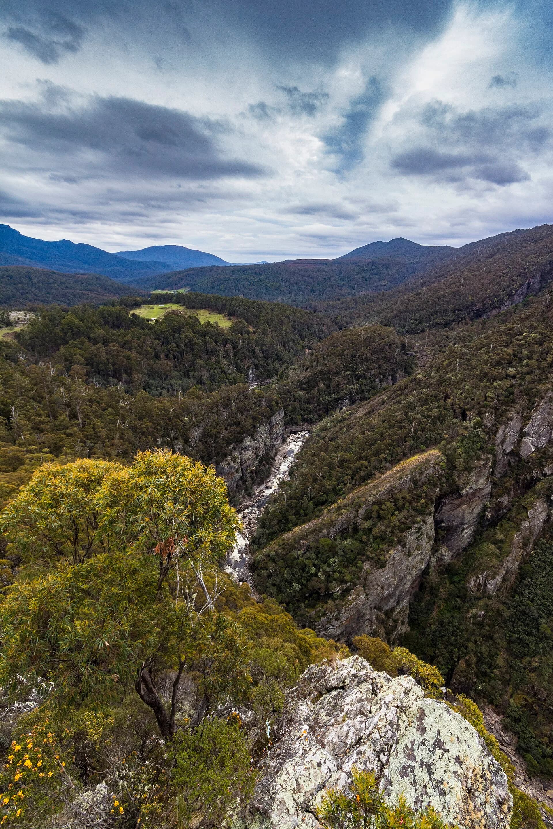 Steep rock walls and forest in Leven Canyon