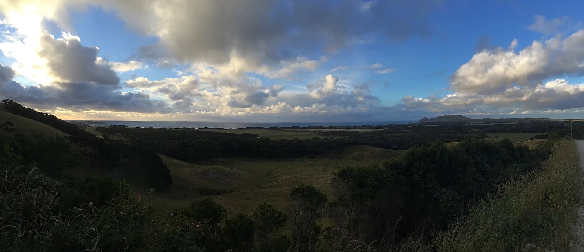 Open farmland and forest edge in north-west Tasmania