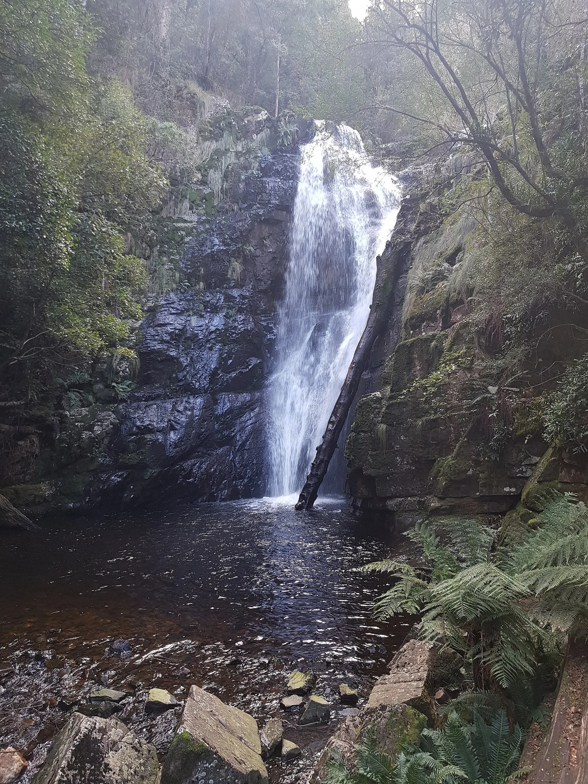 Waterfall in forest near Mathinna