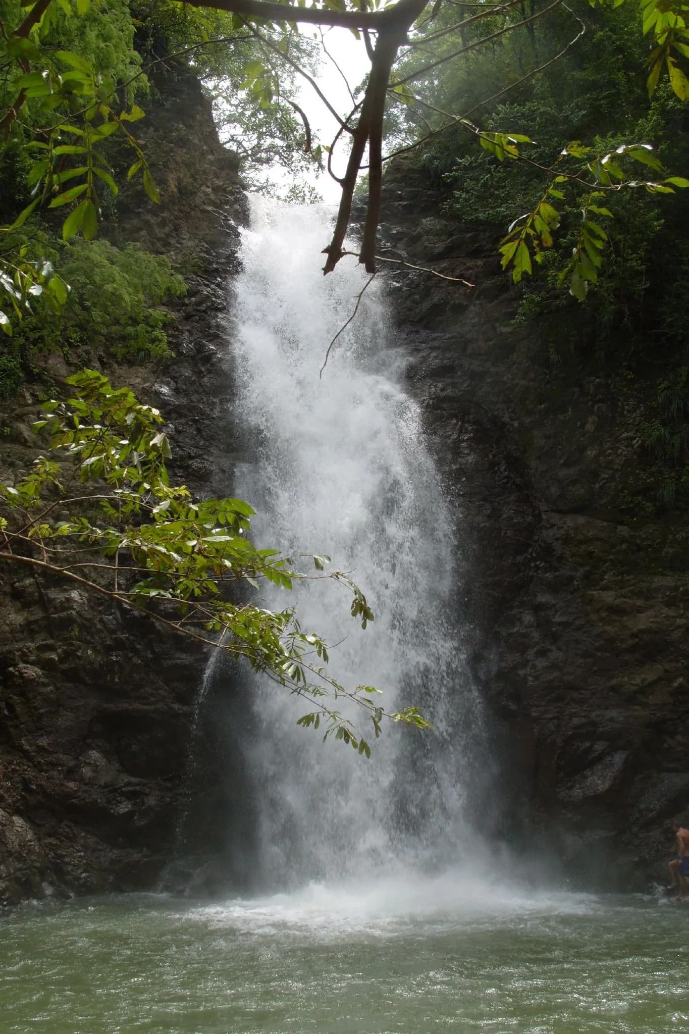 Montezuma Falls dropping through wet forest