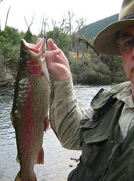 Rainbow trout caught in Tasmania