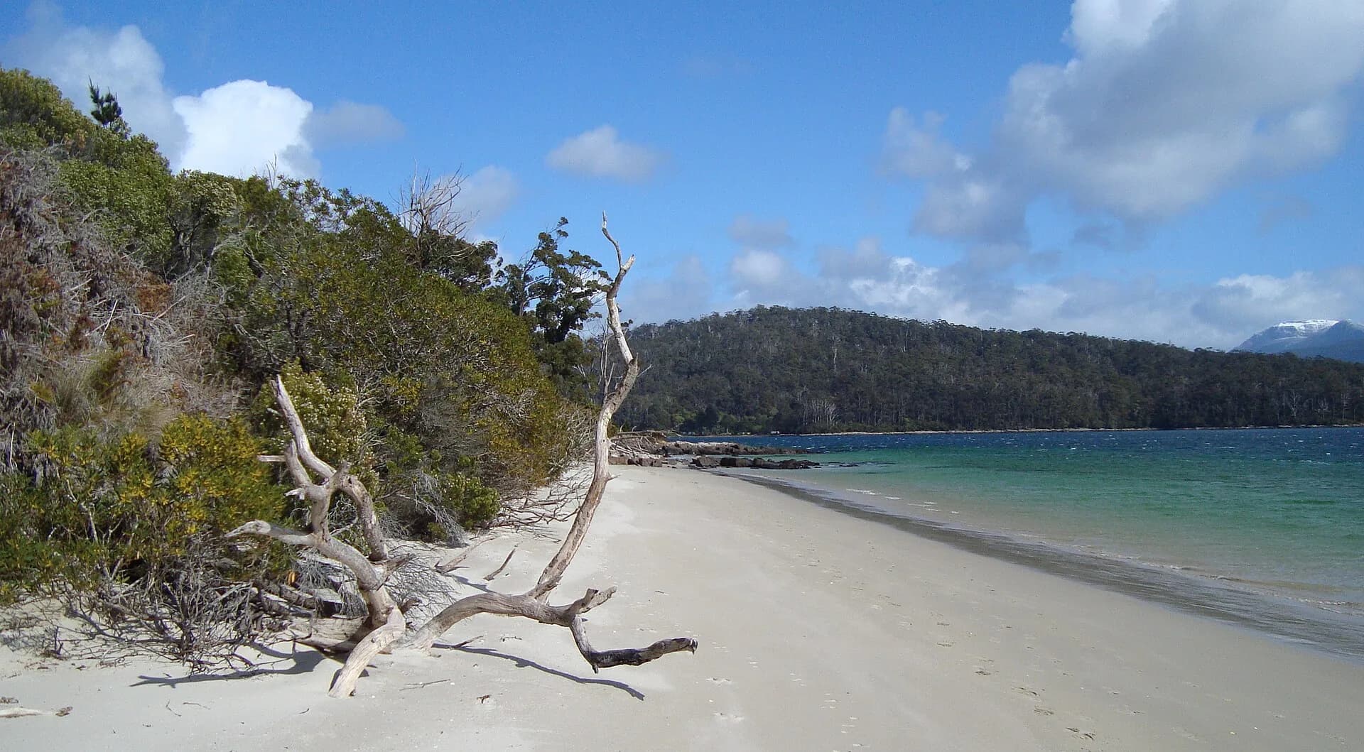 Recherche Bay shoreline near Cockle Creek