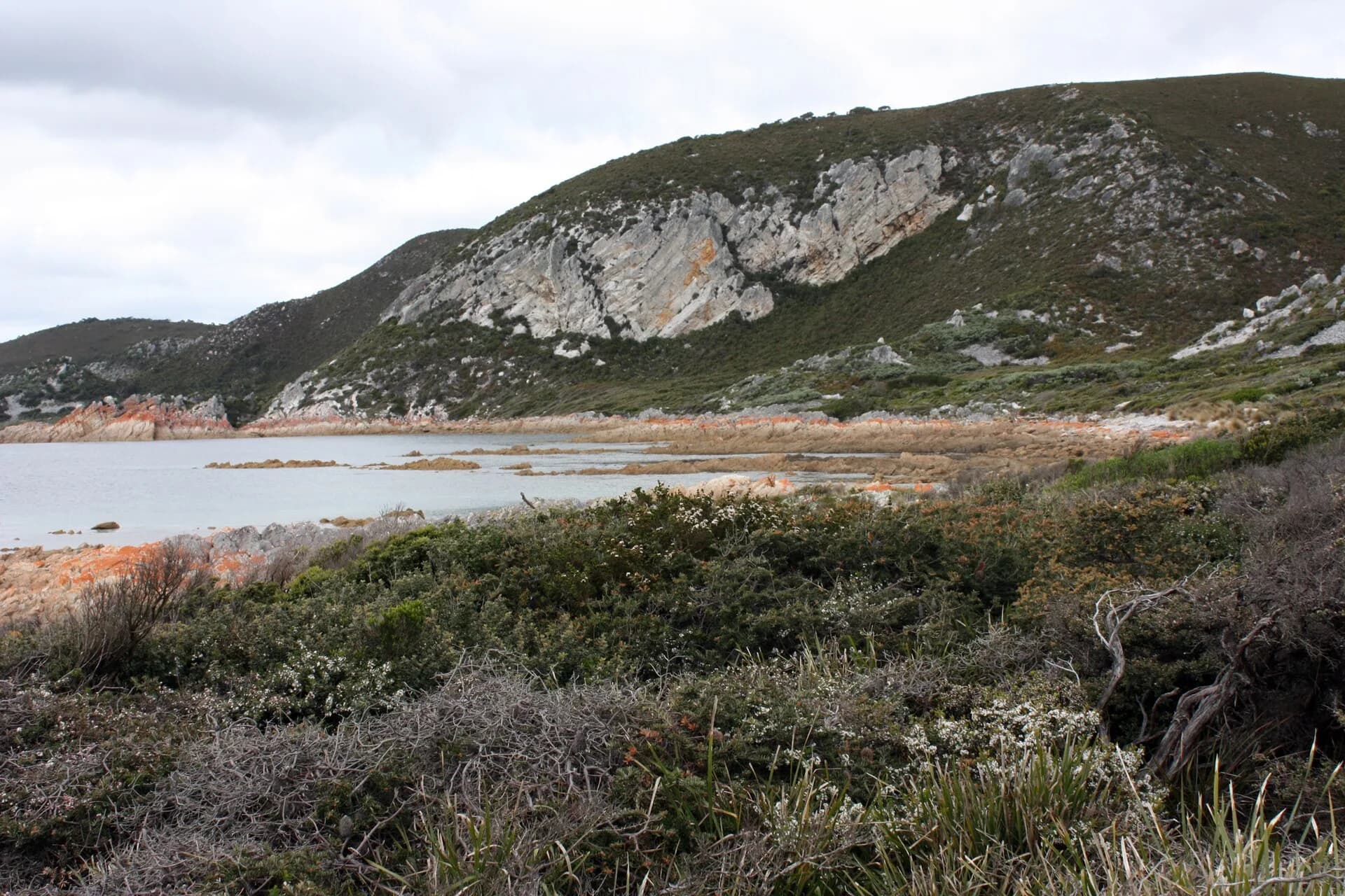 Rocky headland and coastal heath in Rocky Cape National Park