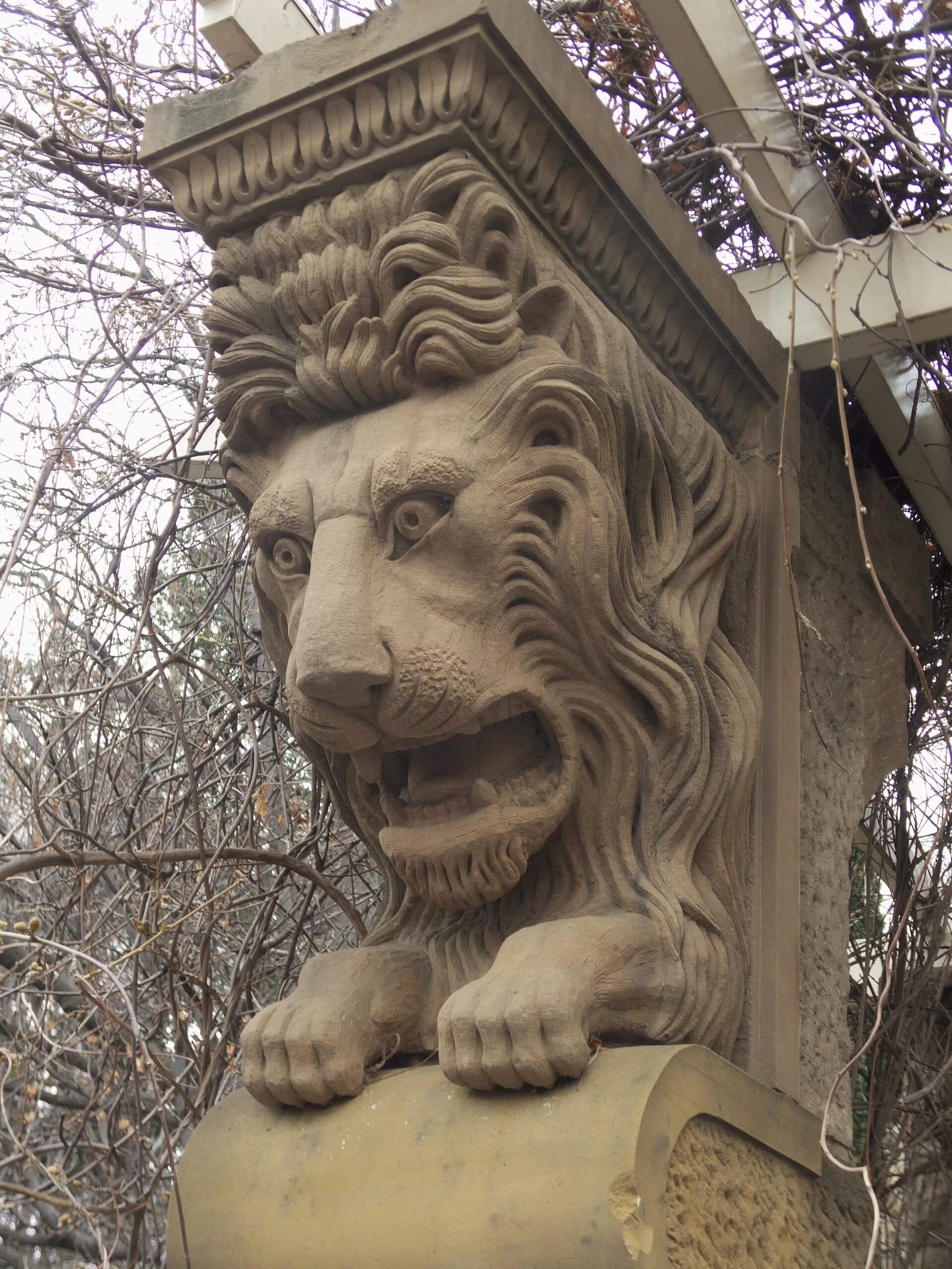 Carved stone lions at an entrance to St David’s Park