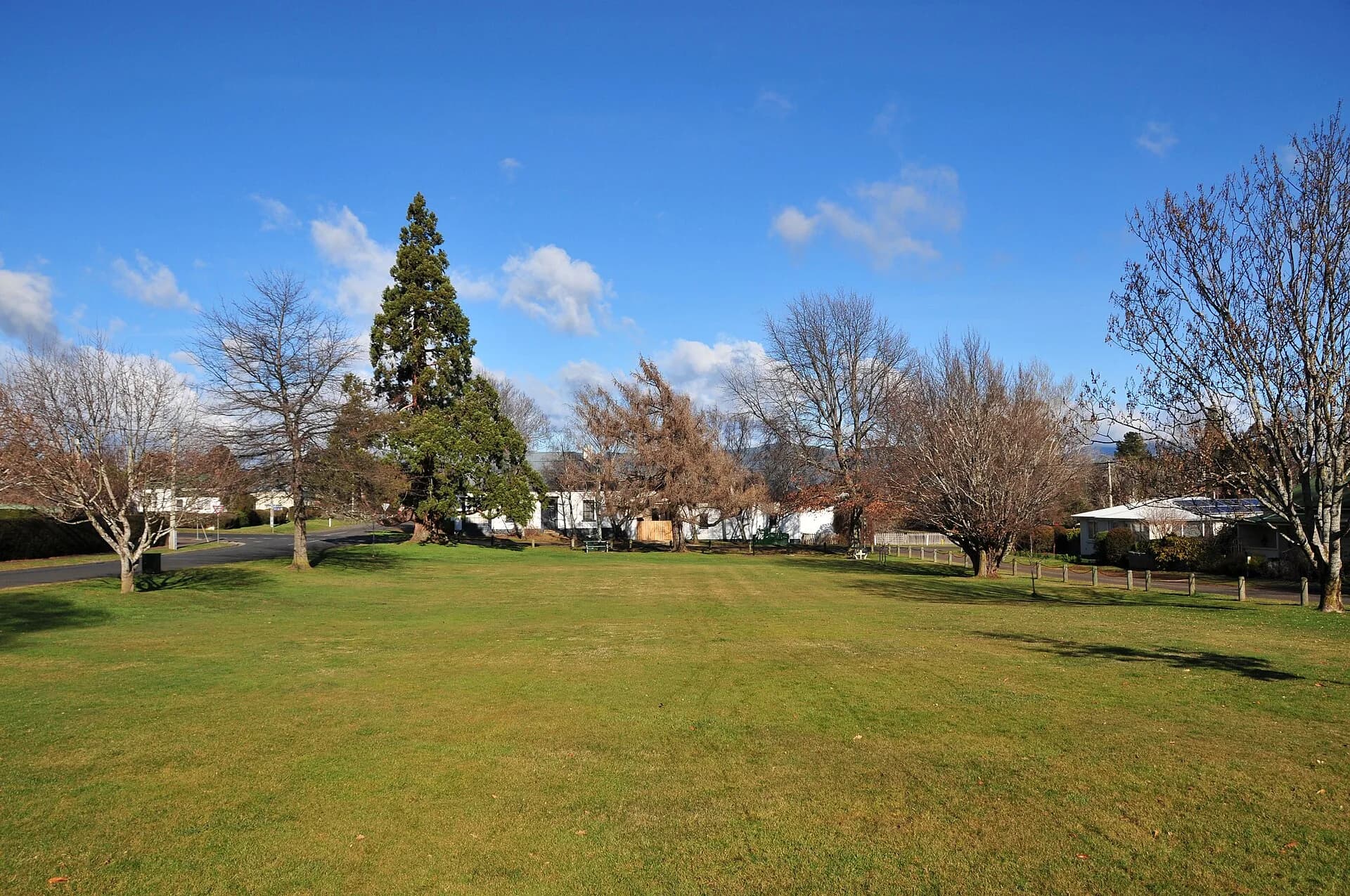Trees and open lawn at Westbury Village Green