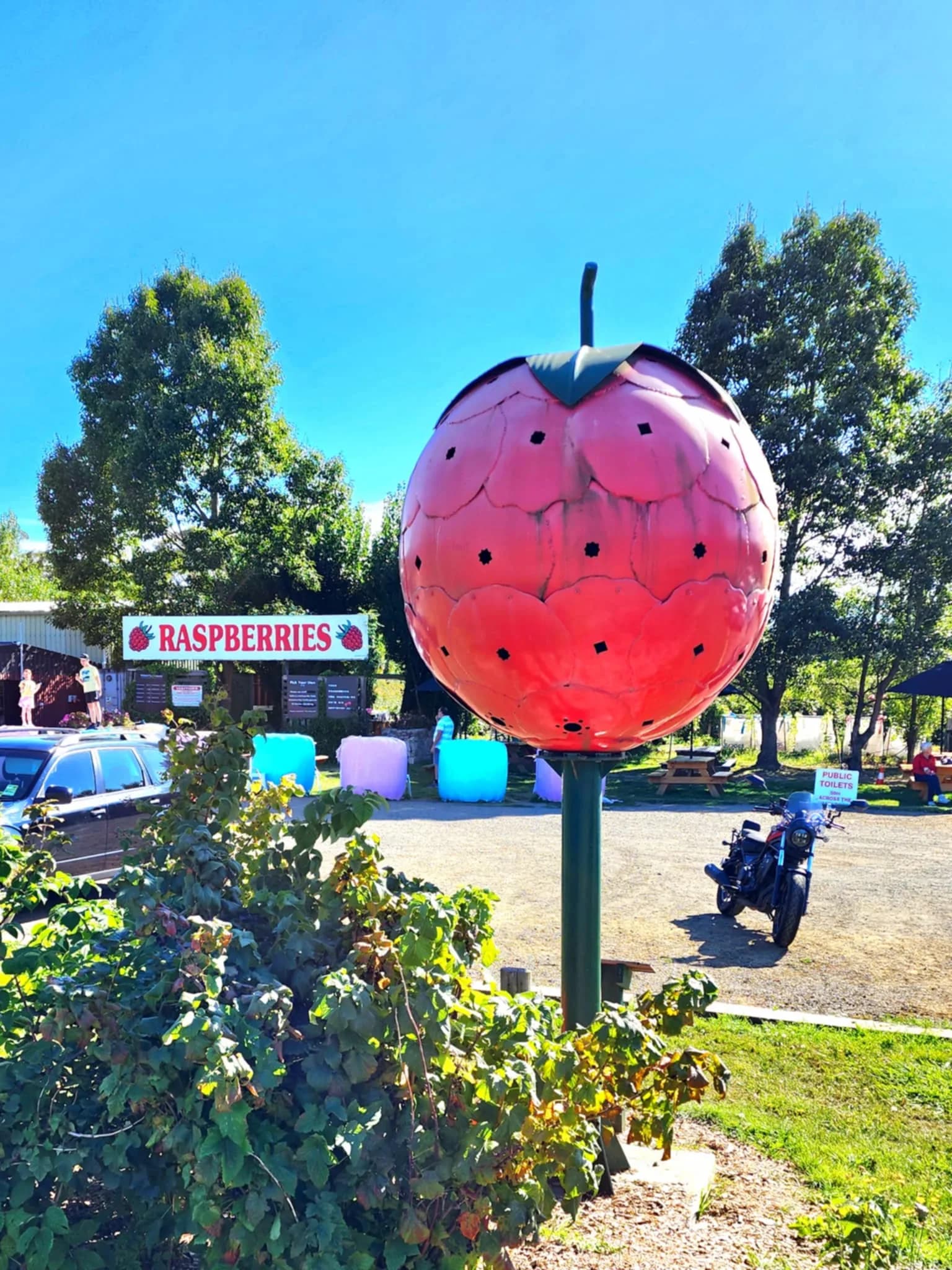 Large raspberry landmark at Westerway