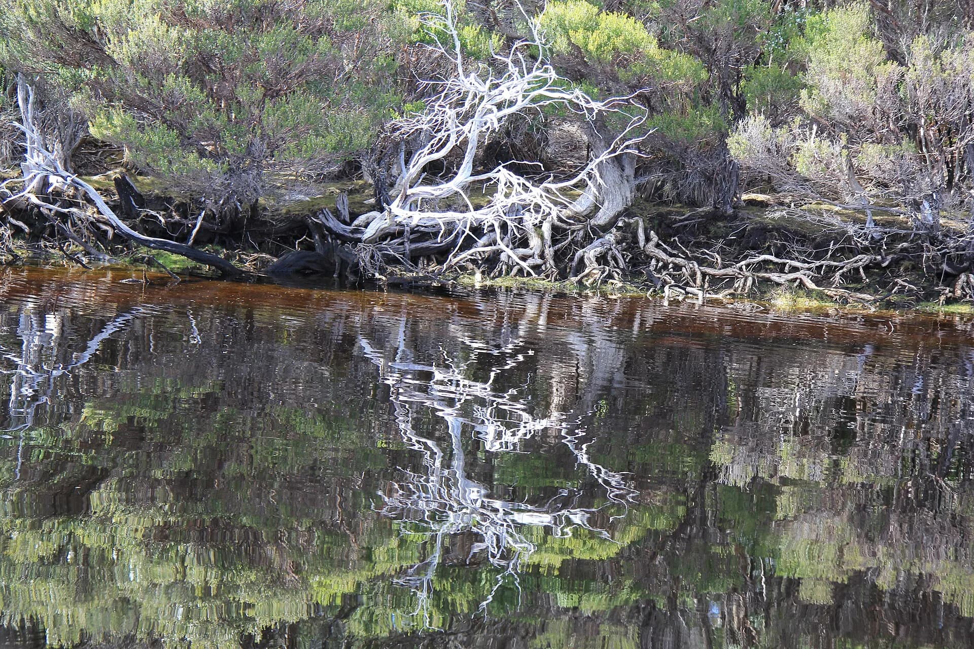 Melaleuca Inlet and surrounding south-west landscape