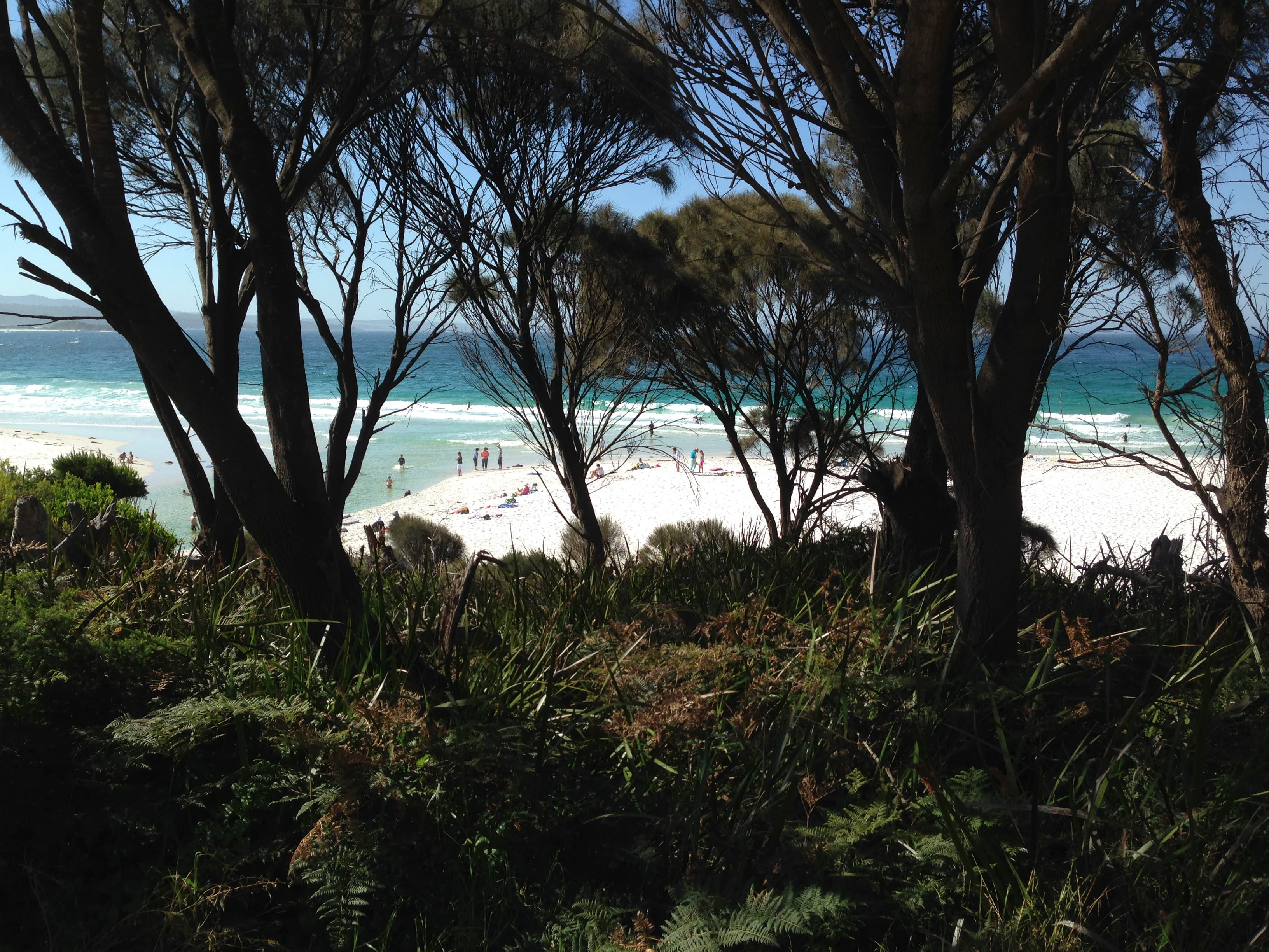 tasmania beach