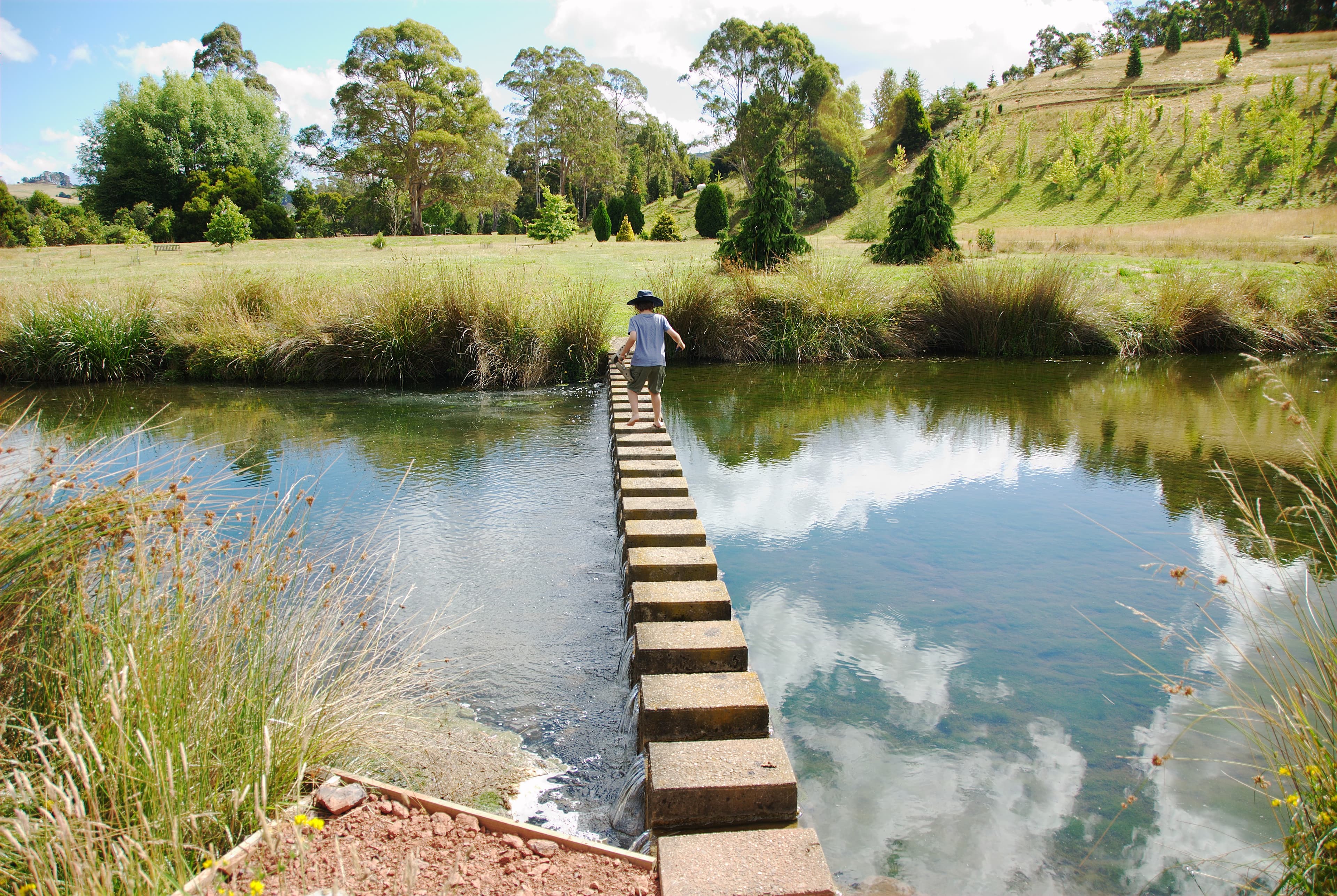 A weir in the Tasmanian Arboretum