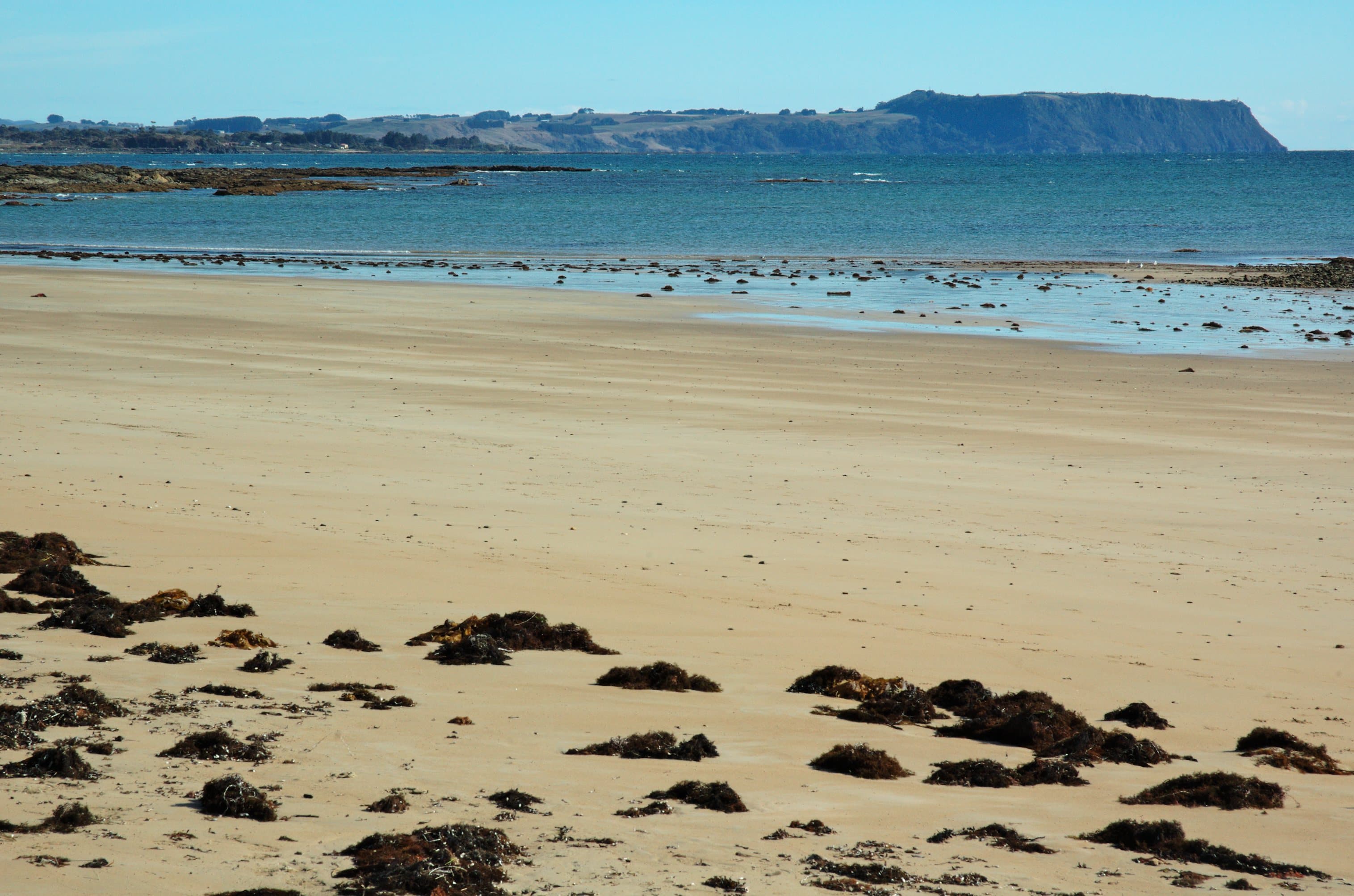 The beach at Somerset, Tasmania, looking west towards Table Cape.