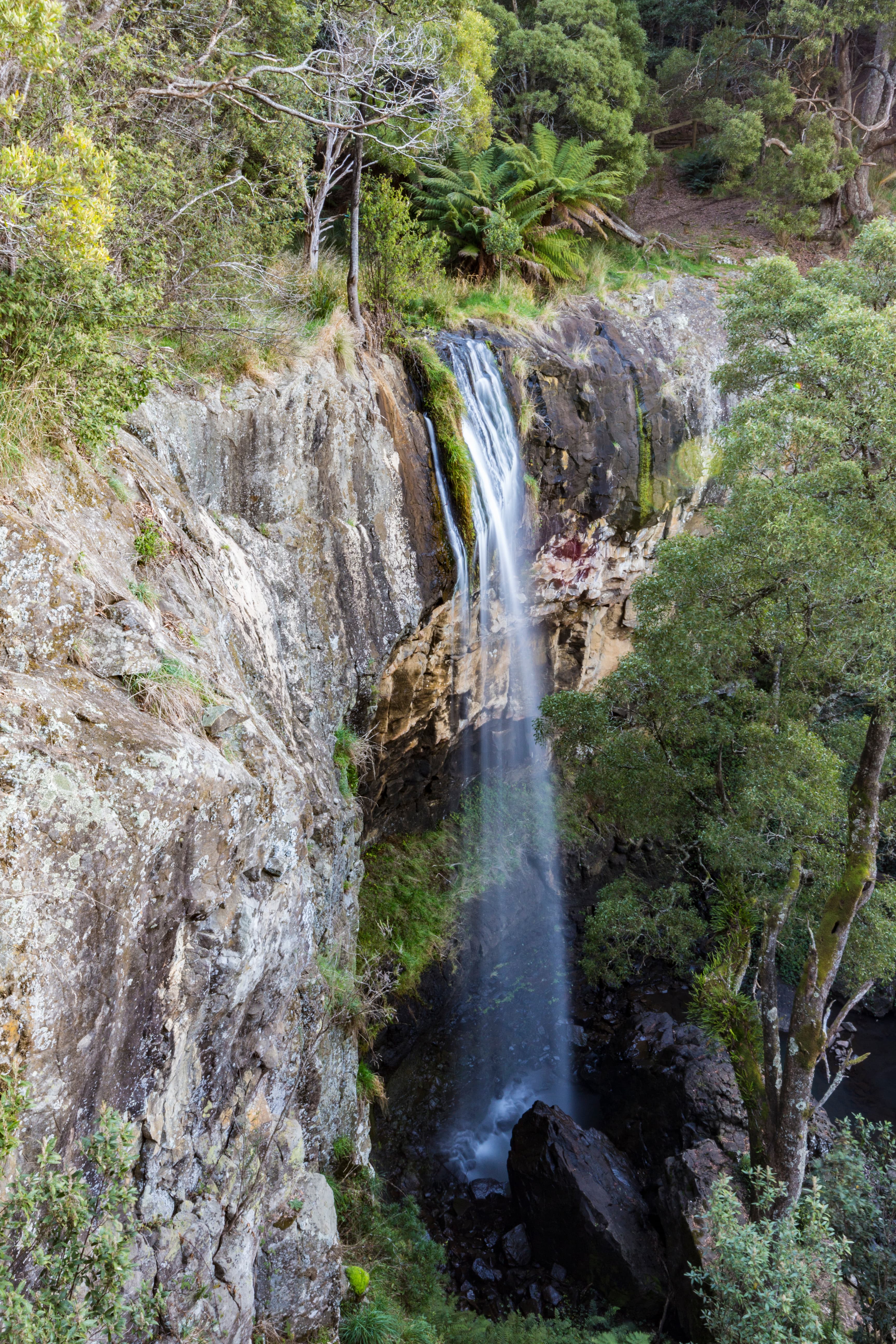 Preston Falls, Tasmania
