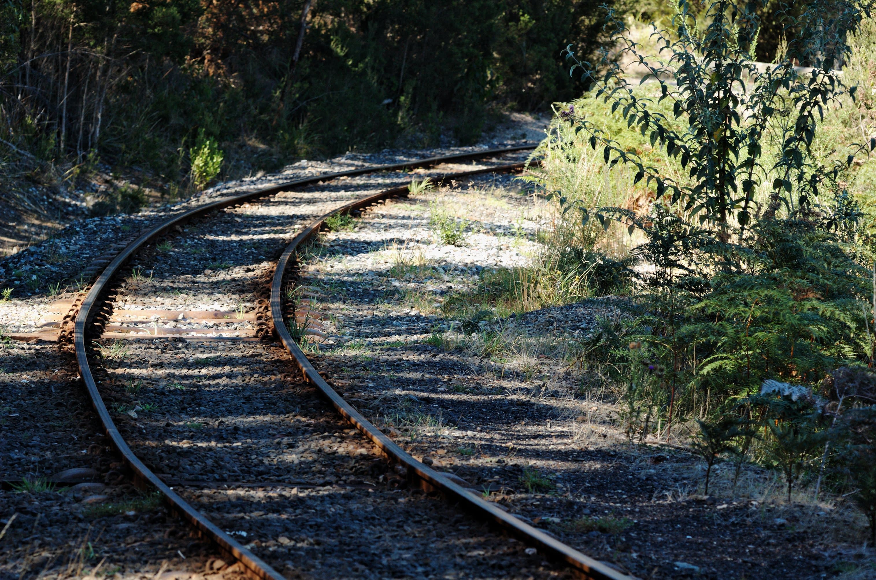 Track of the Don River Railway, Devonport, Tasmania.