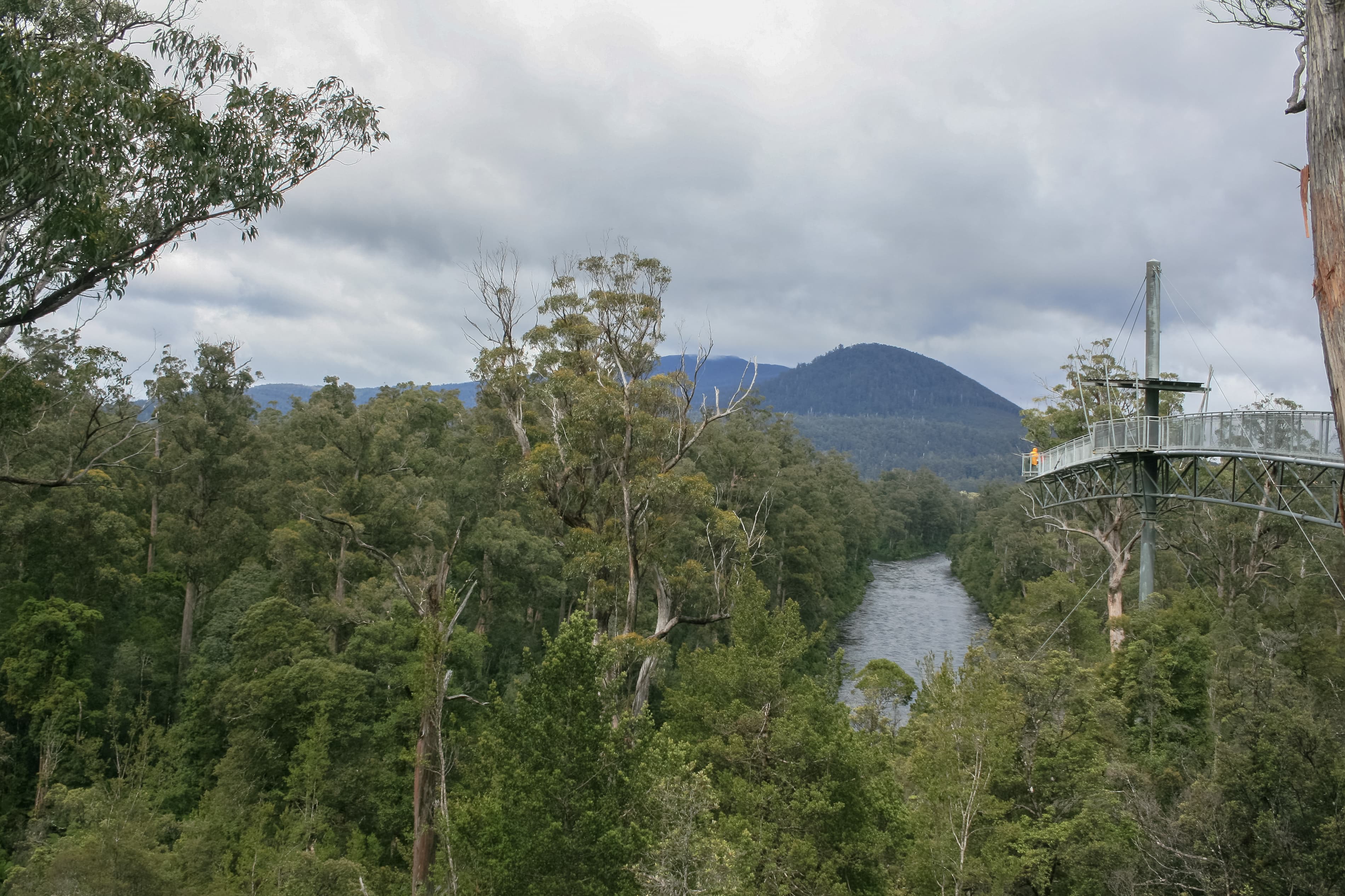 Tahune Forest AirWalk, Tasmania, Australia